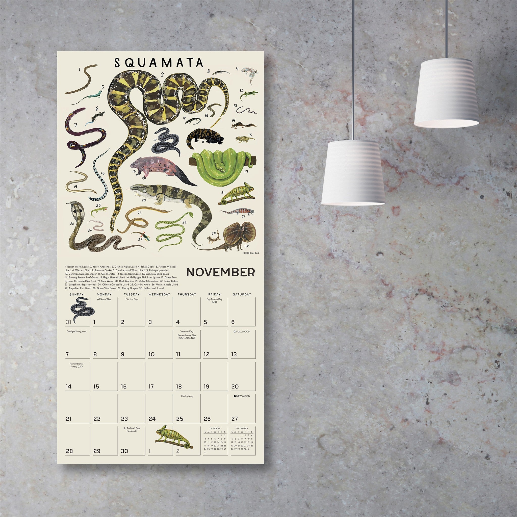 The Illustrated Animal Kingdom 2027 Wall Calendar - Online Only
