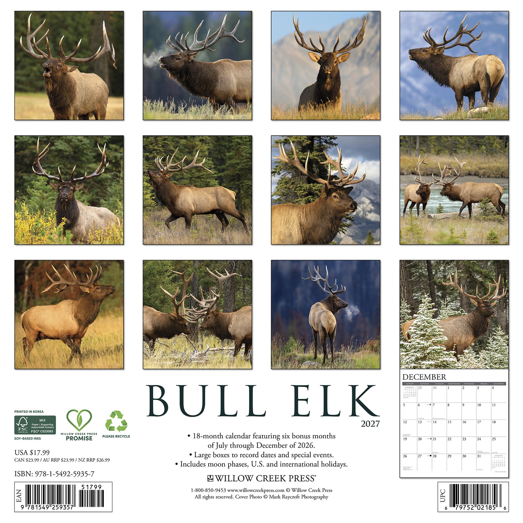 Bull Elk 2027 Wall Calendar