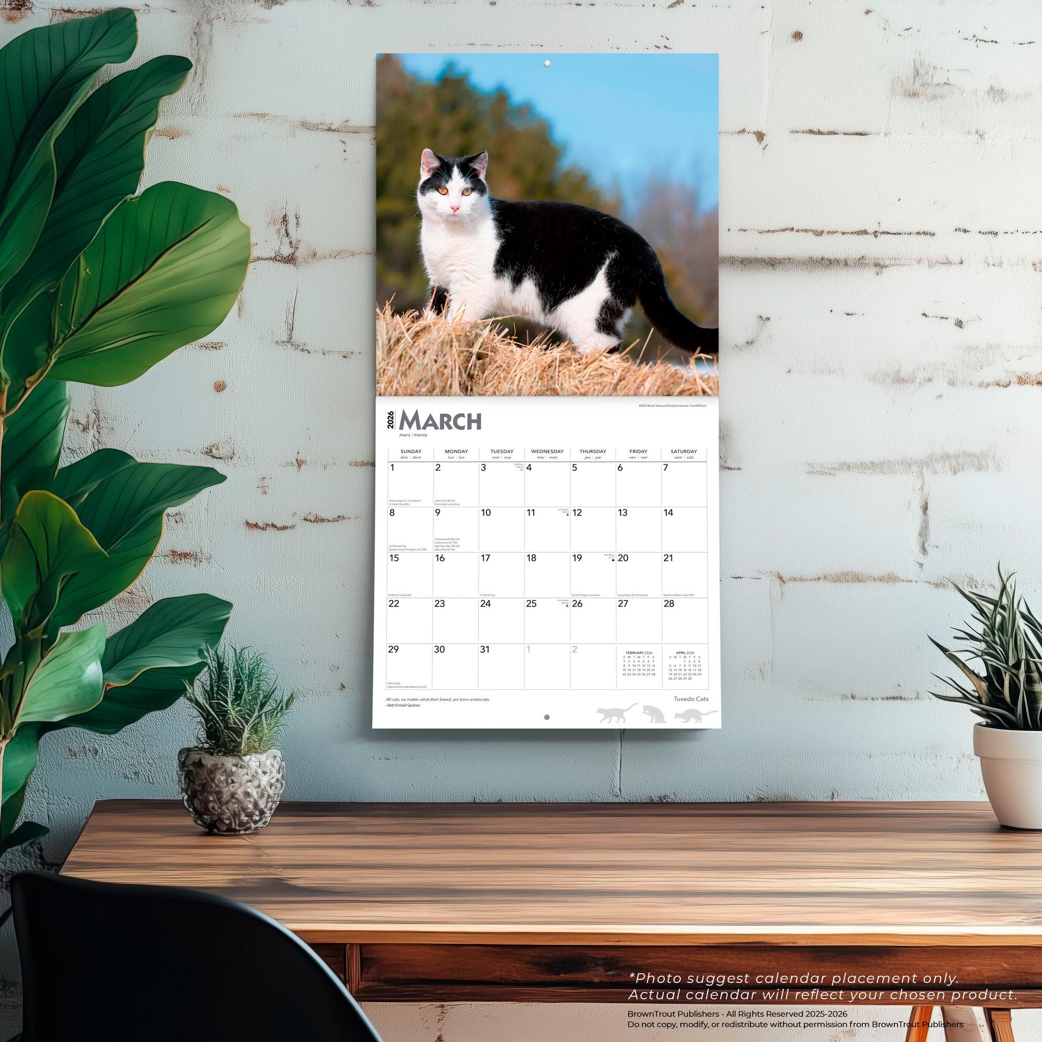 Tuxedo Cats 2026 Wall Calendar