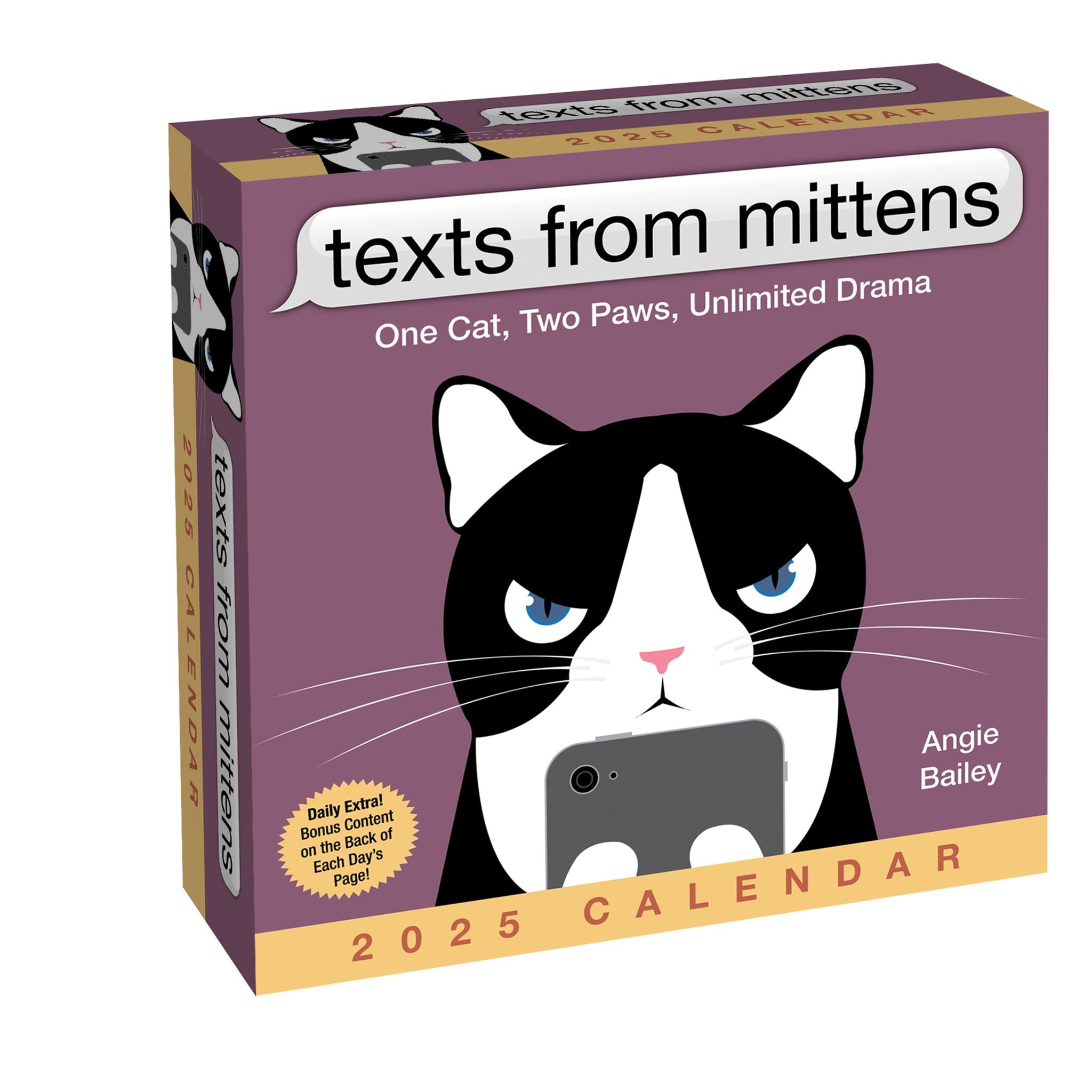 Texts From Mittens The Cat Box 2025 Calendar