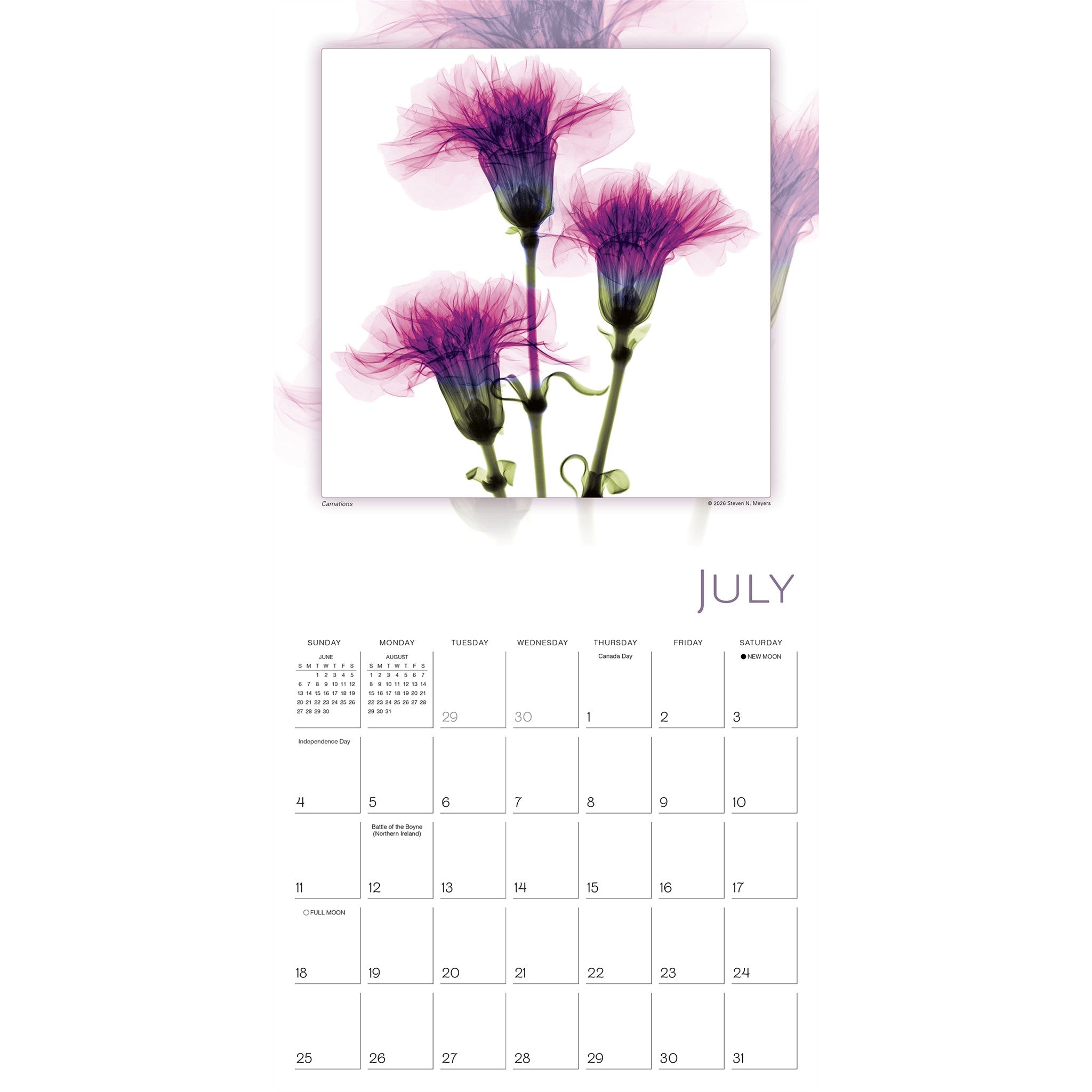 Flower Spirits 2027 Wall Calendar
