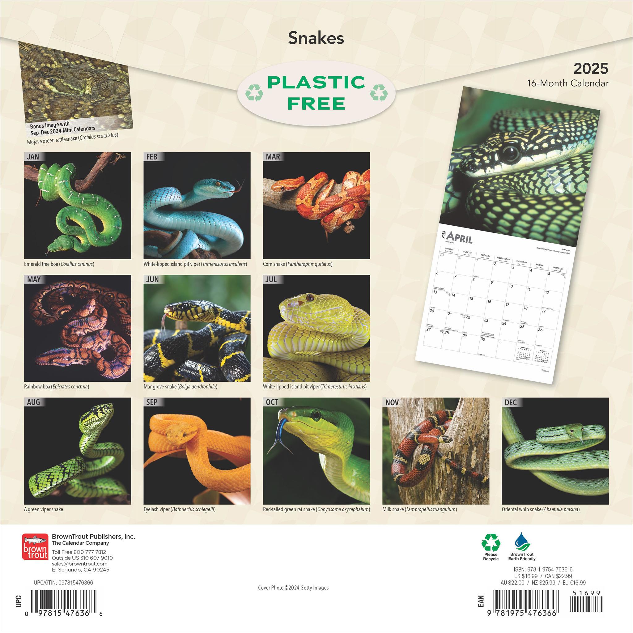 Snakes Wall 2025 Calendar