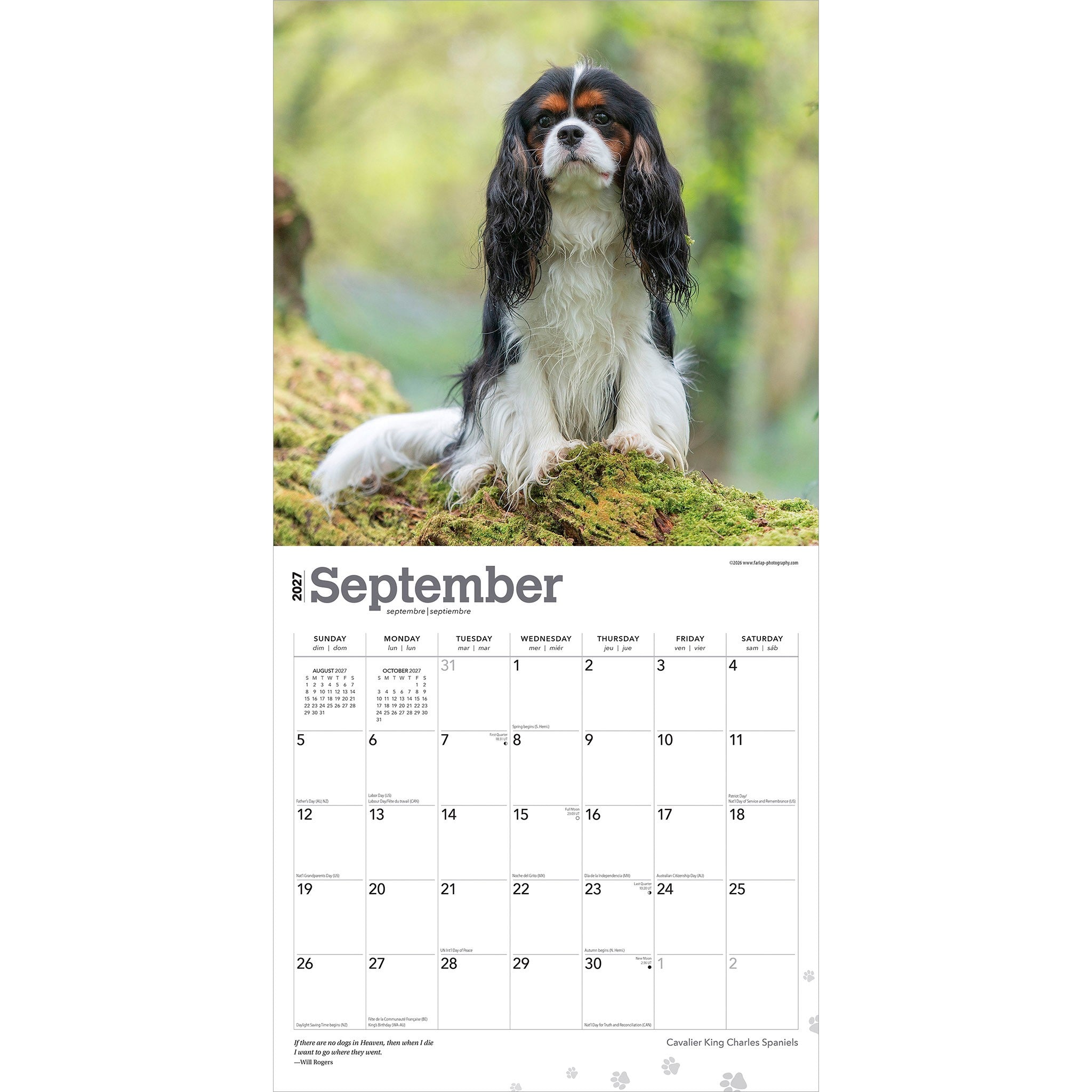 Cavalier King Charles Spaniels 2027 Wall Calendar