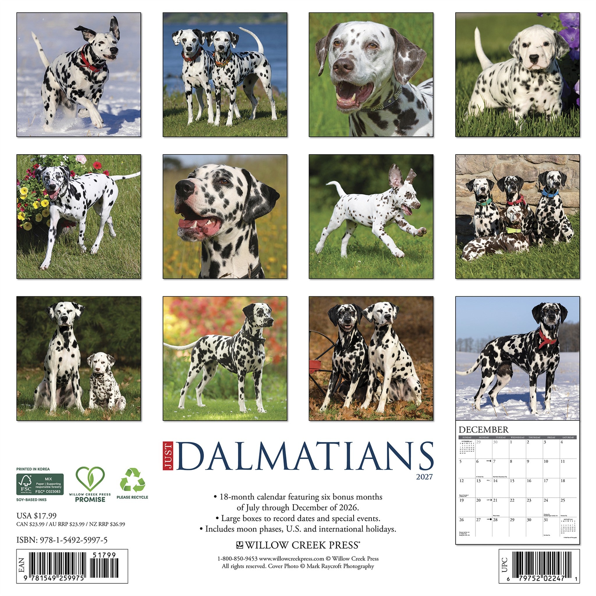Dalmatians 2027 Wall Calendar