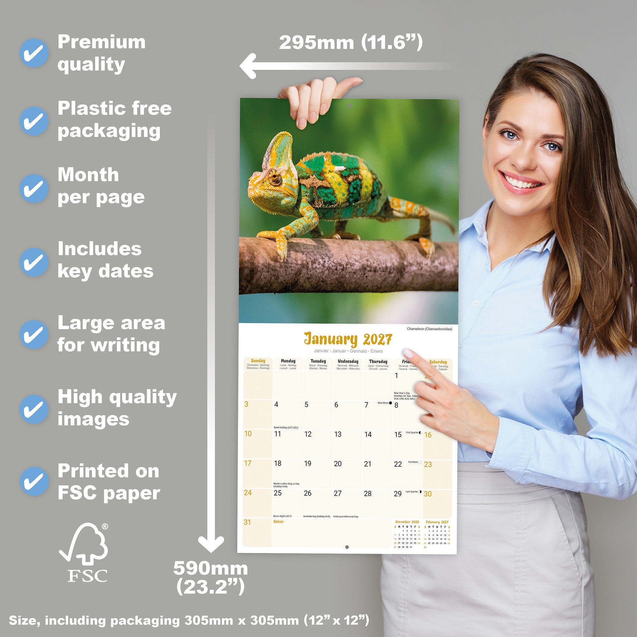 Lizards 2027 Wall Calendar