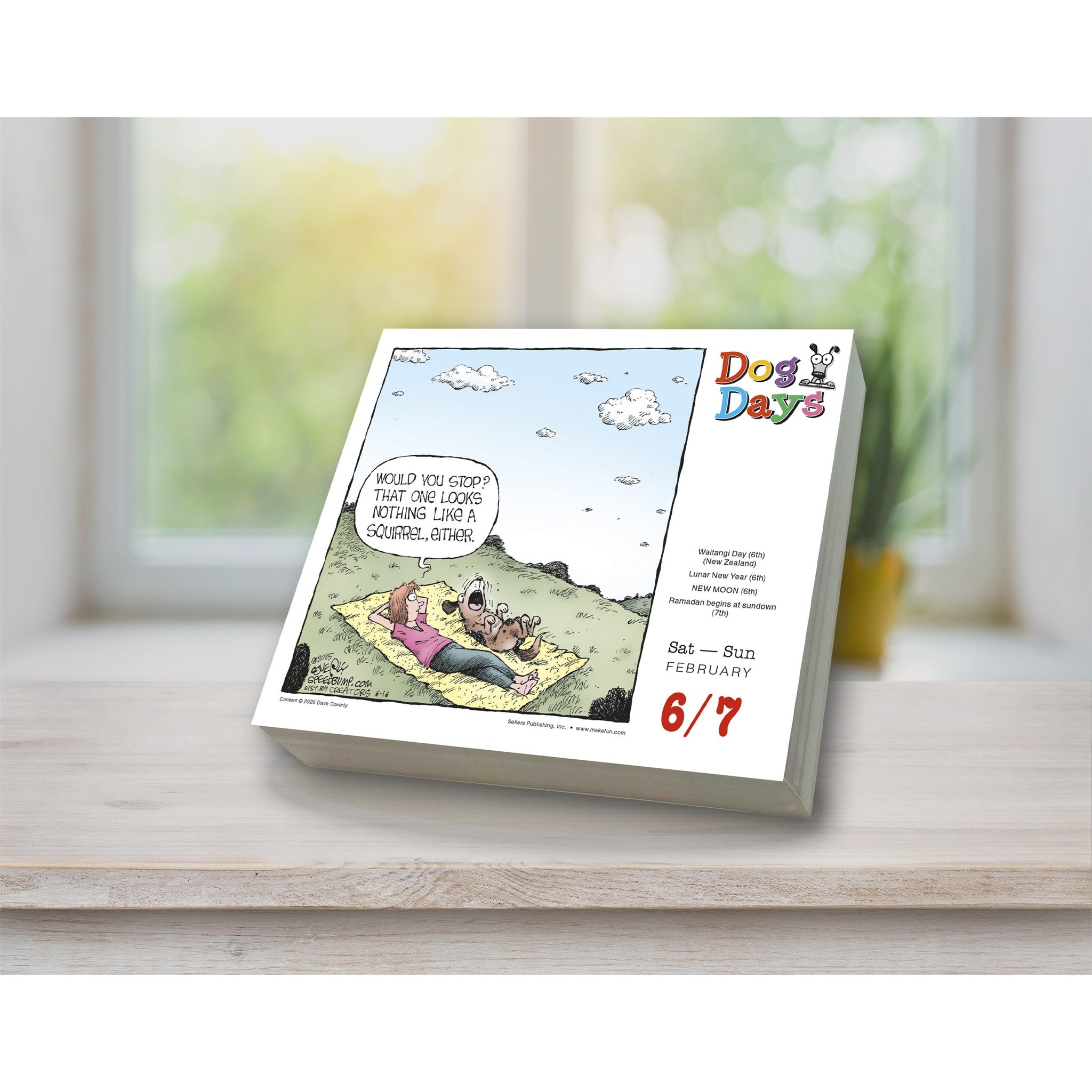 Dog Days 2027 Box Calendar