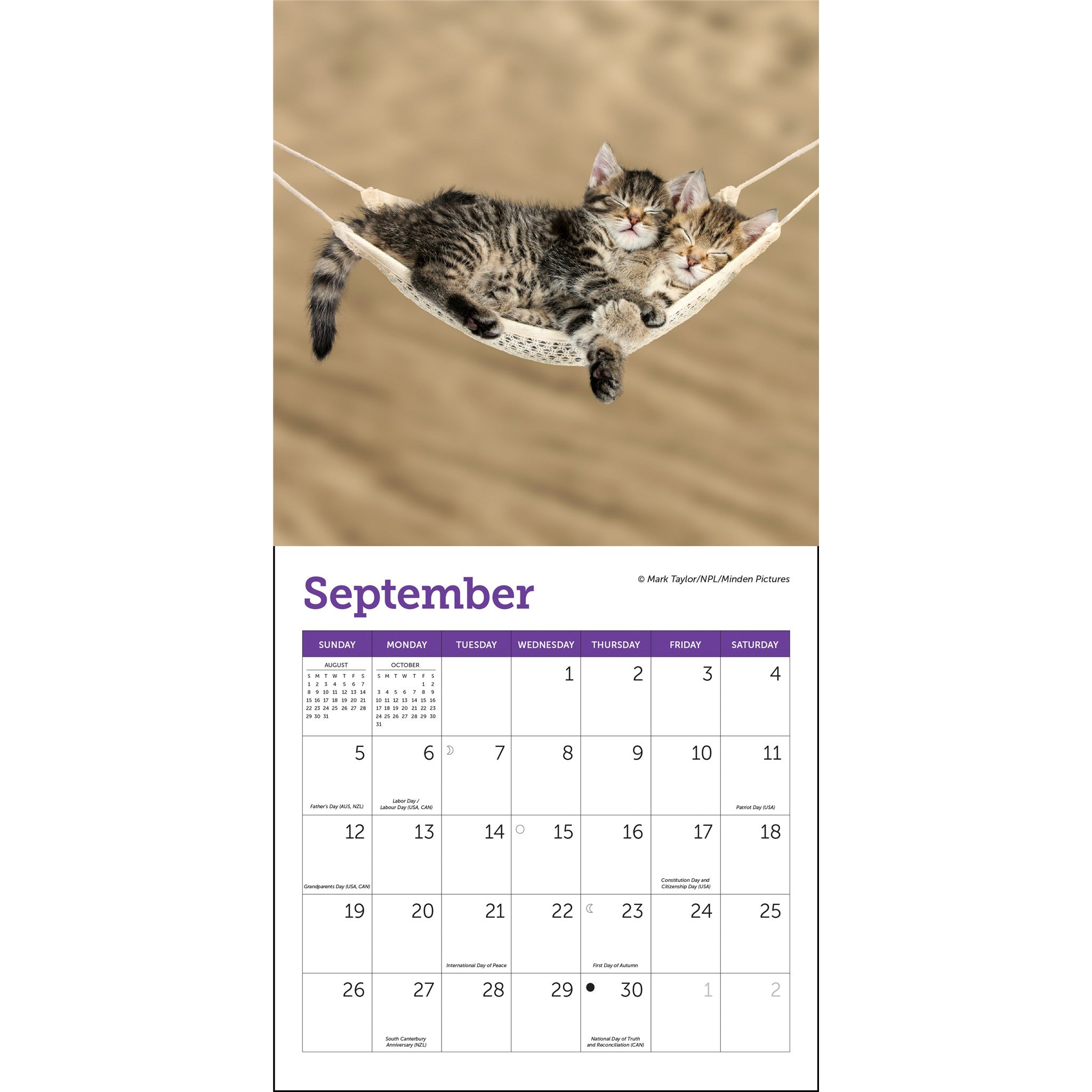 Cats 2027 Mini Calendar