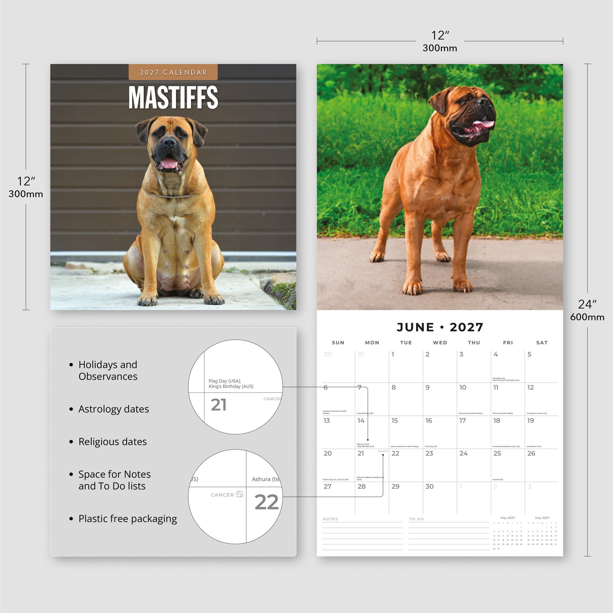 Mastiffs 2027 Wall Calendar