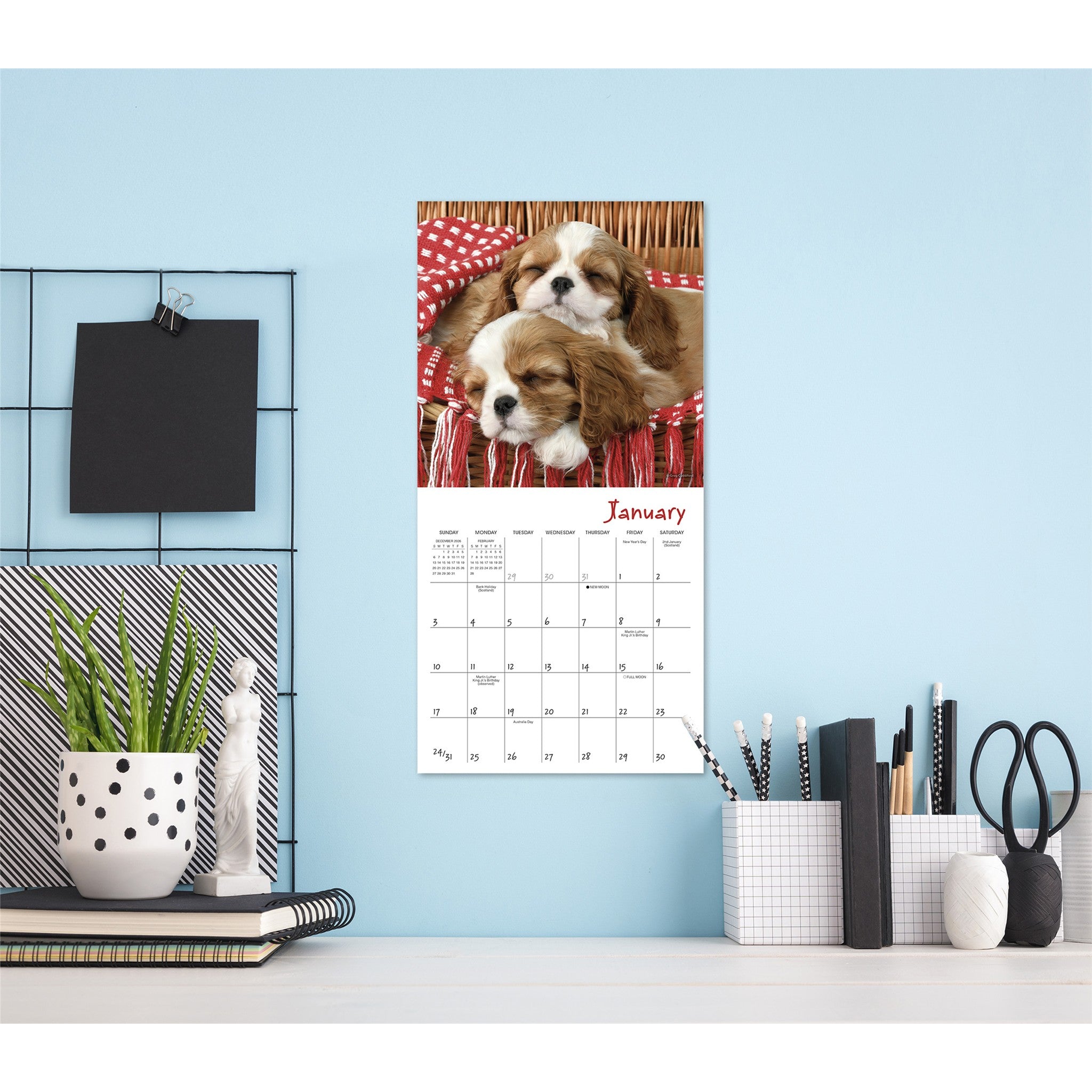 Pooped Puppies 2027 Mini Calendar