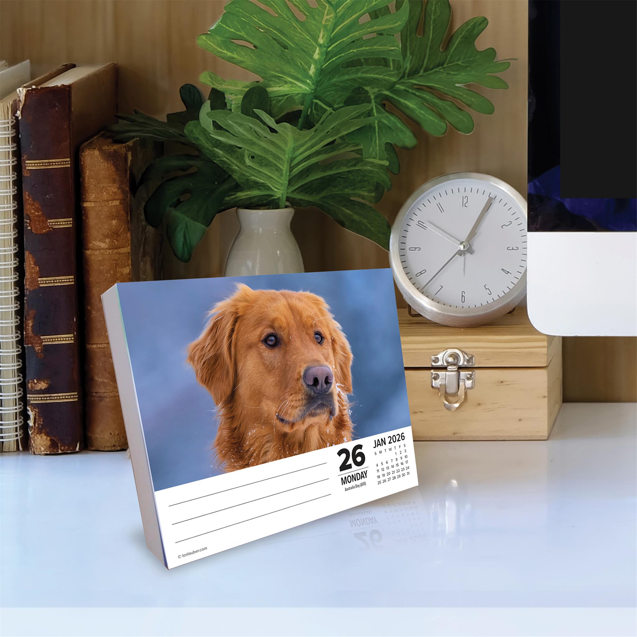 Just Goldens 2026 Box Calendar