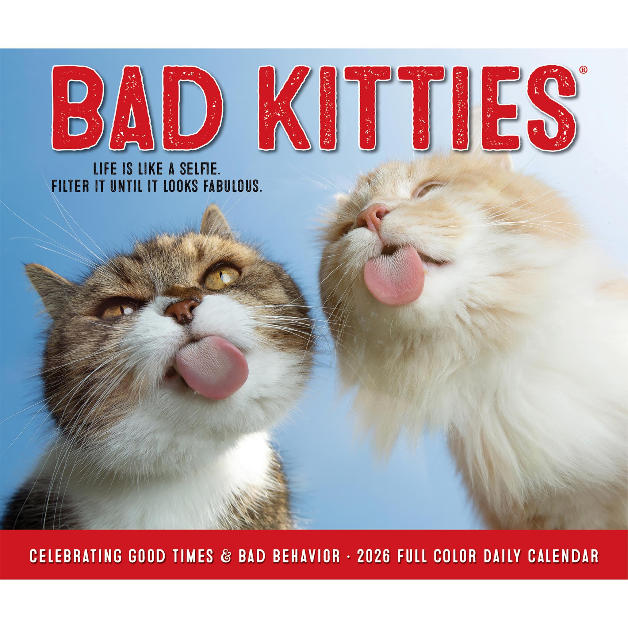 Bad Kitties 2026 Box Calendar - Online Only