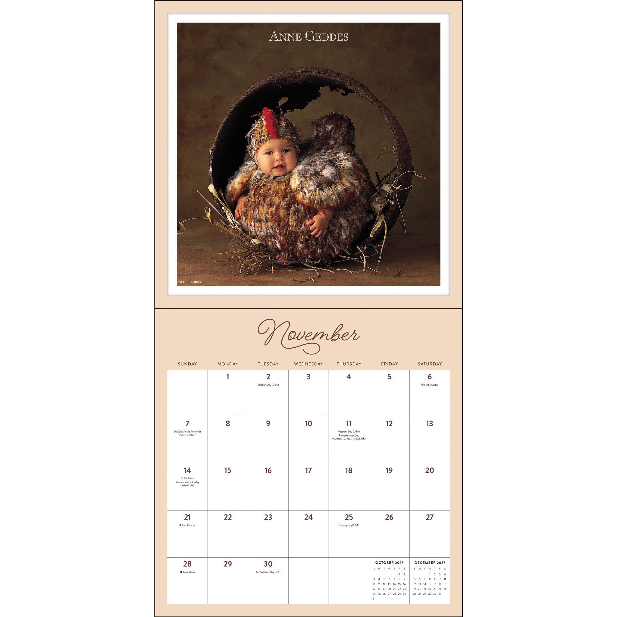 Anne Geddes 2027 Wall Calendar