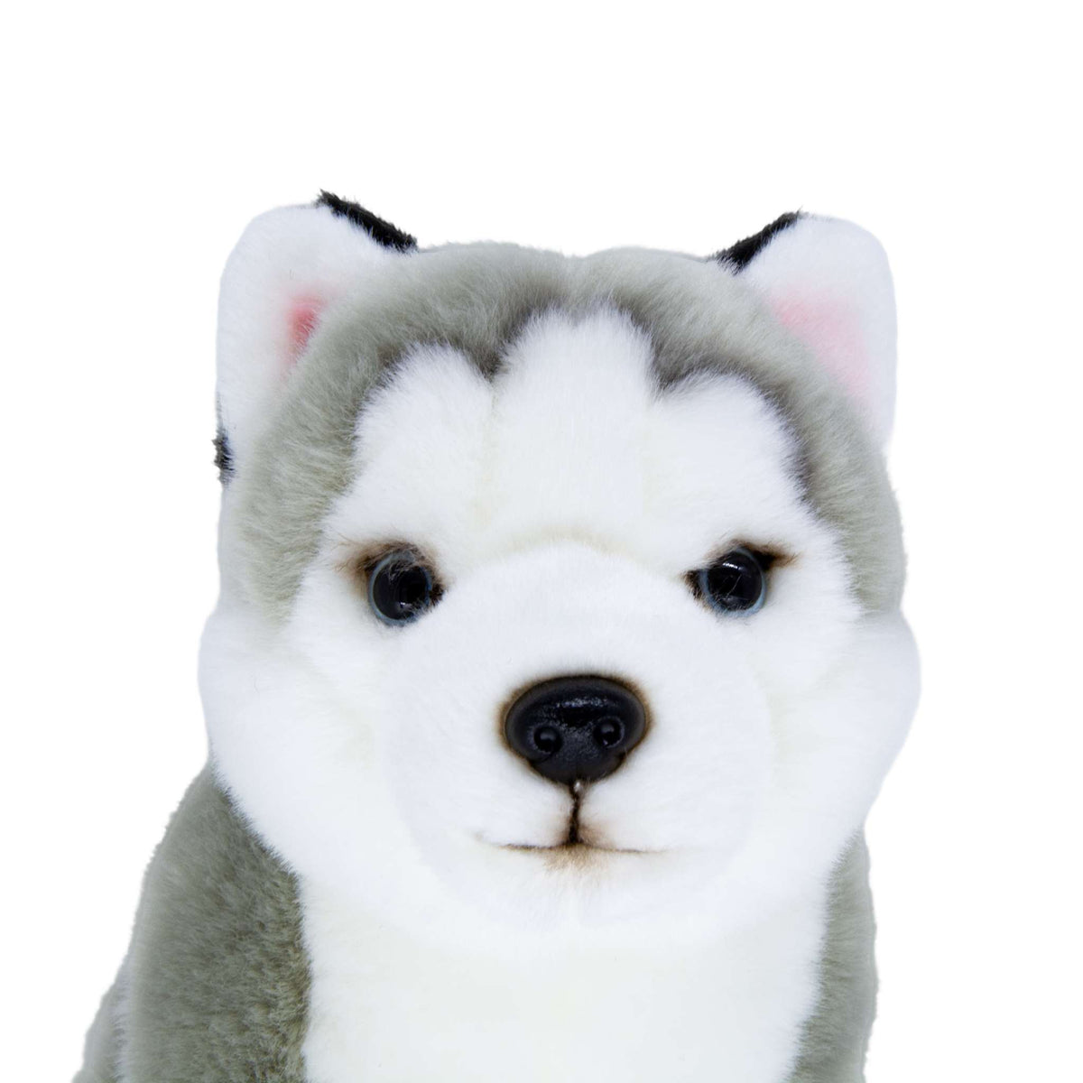Floppy Husky 10in Plush