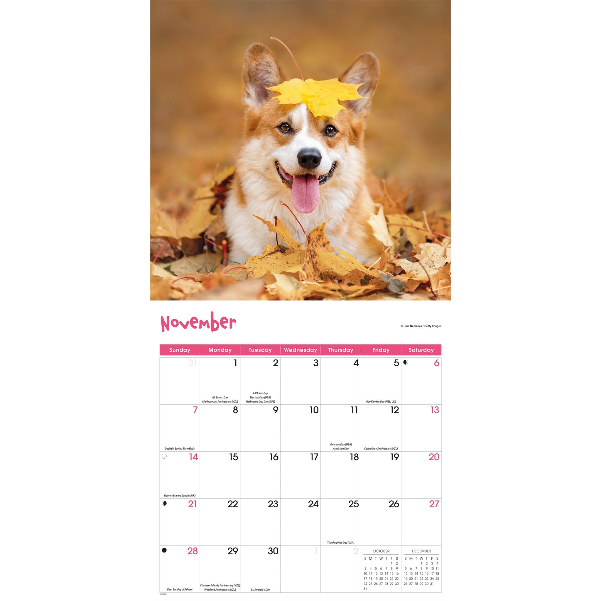 Playful Puppies 2027 Wall Calendar