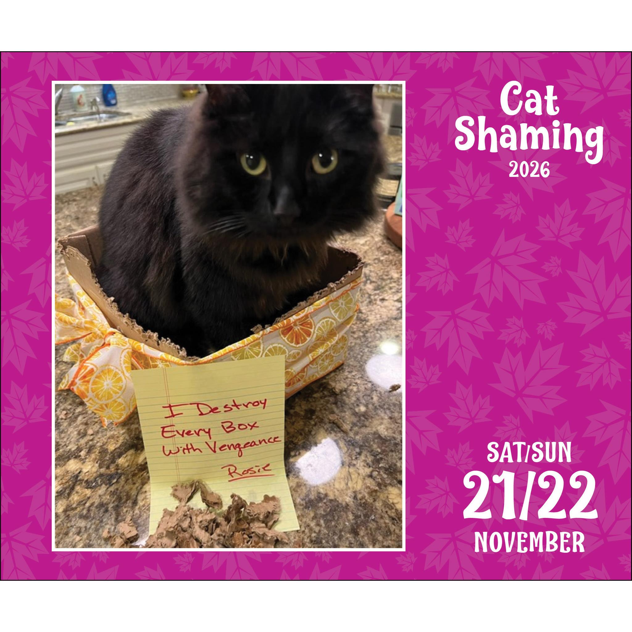 Cat Shaming 2026 Box Calendar
