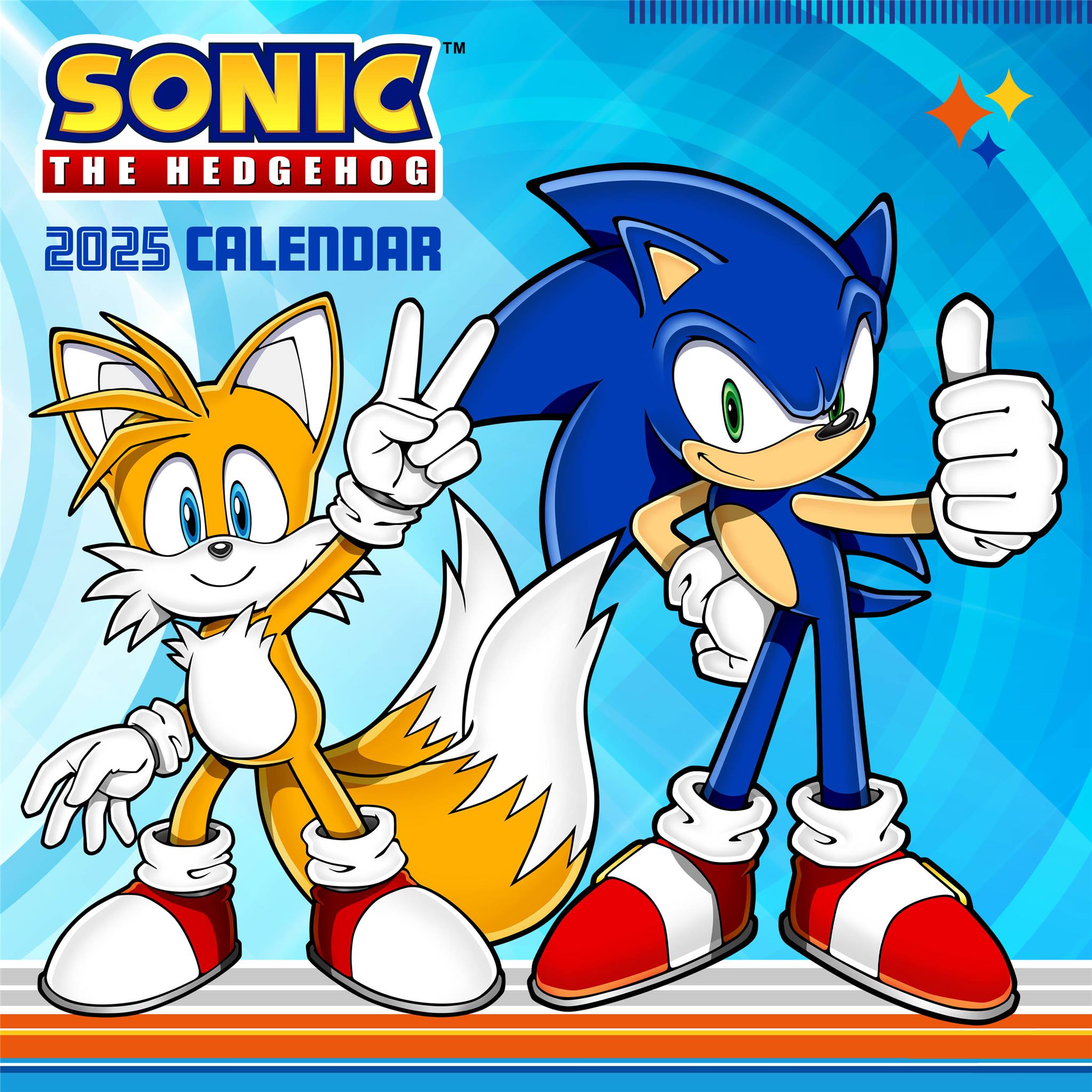 Sonic The Hedgehog Wall 2025 Calendar