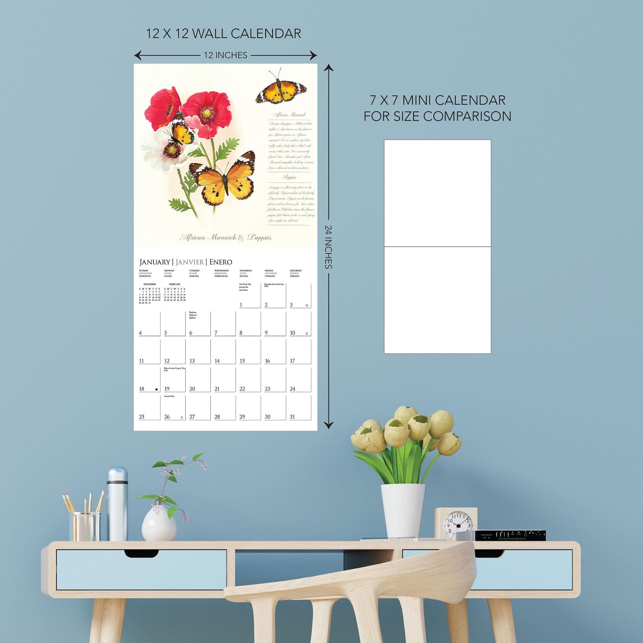Butterflies 2026 Wall Calendar - Online Only