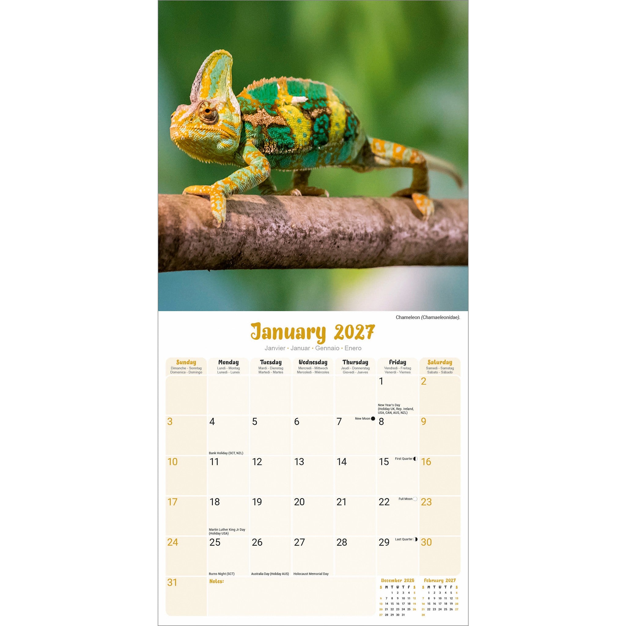 Lizards 2027 Wall Calendar
