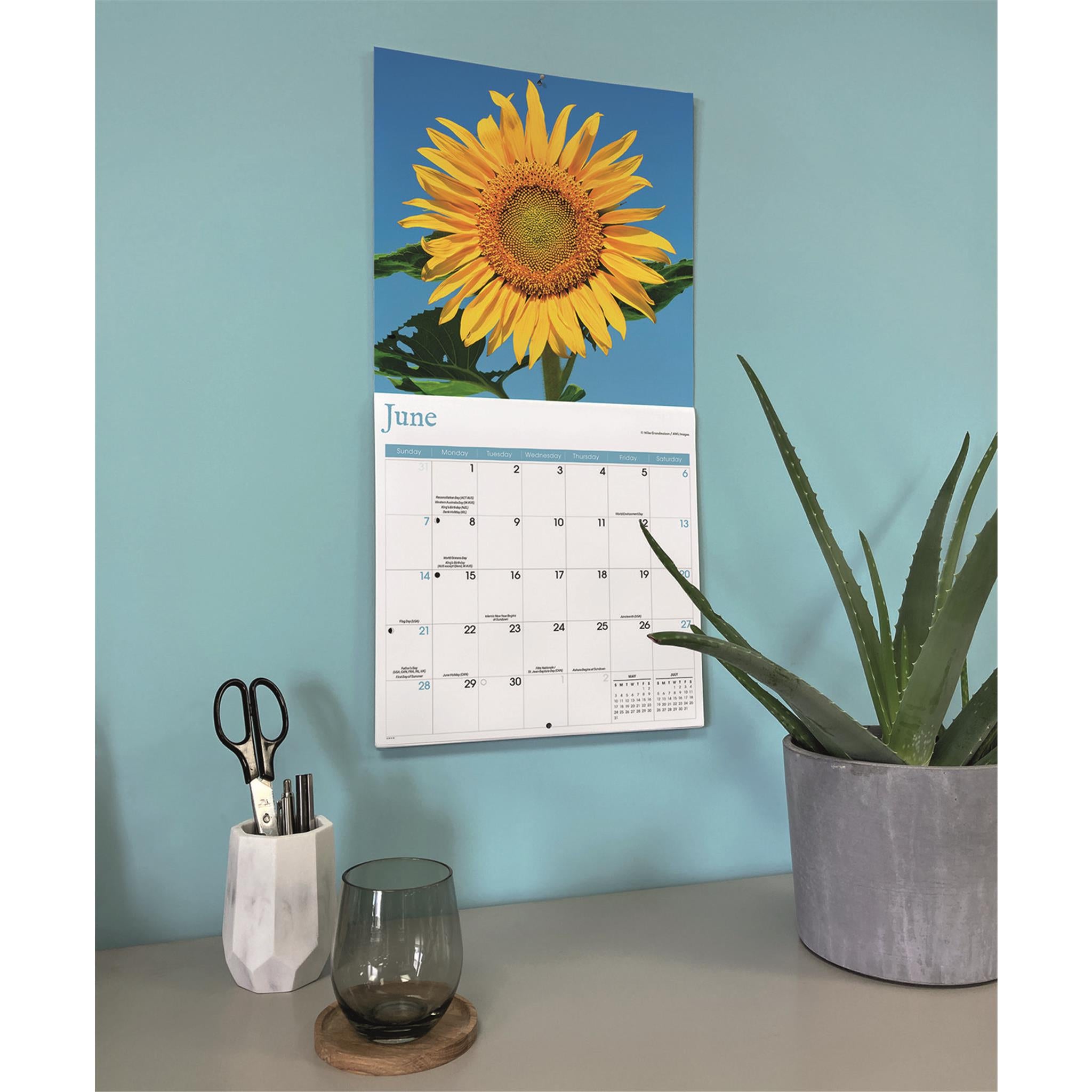 Sunflowers 2026 Wall Calendar