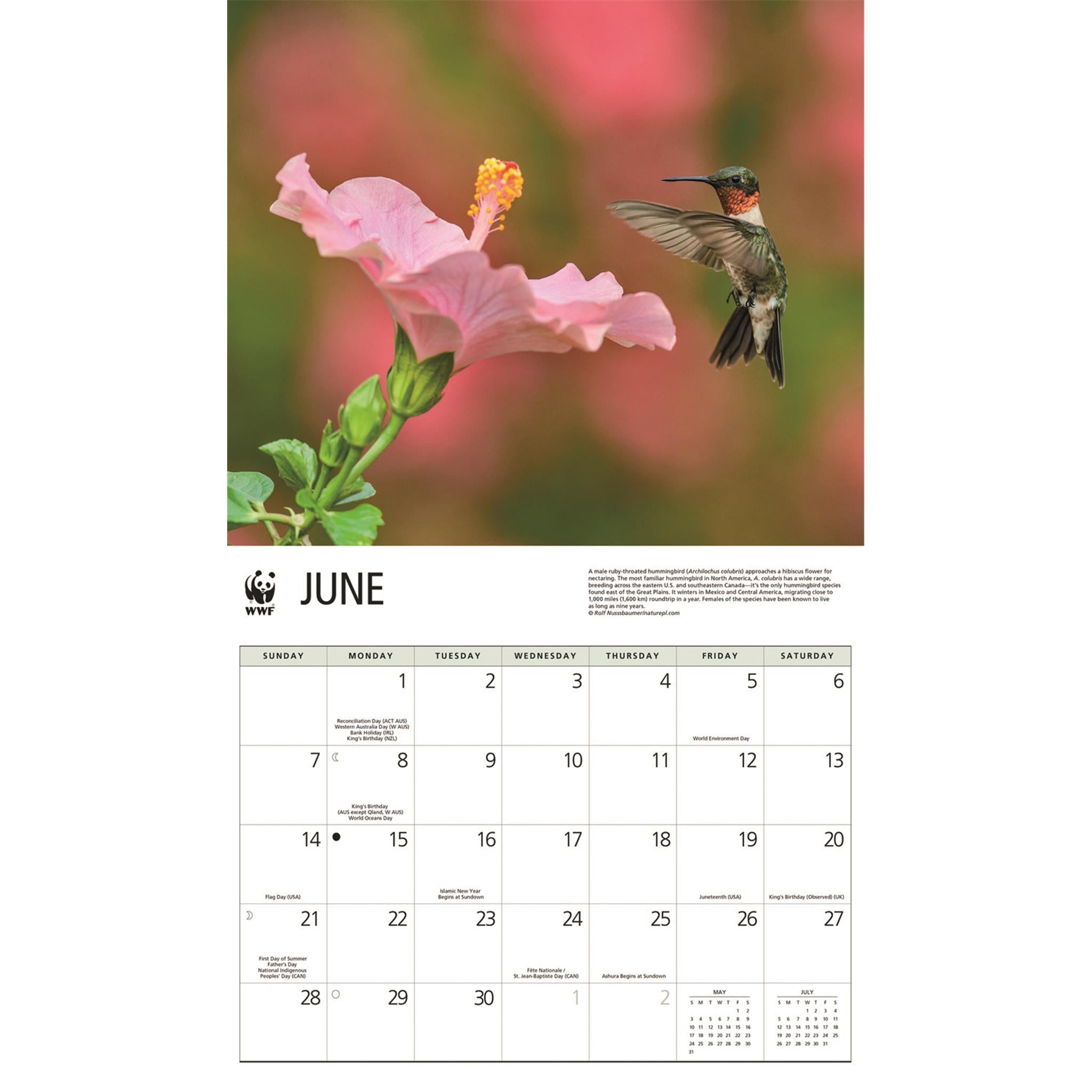 World Wildlife Fund Hummingbirds 2026 Wall Calendar
