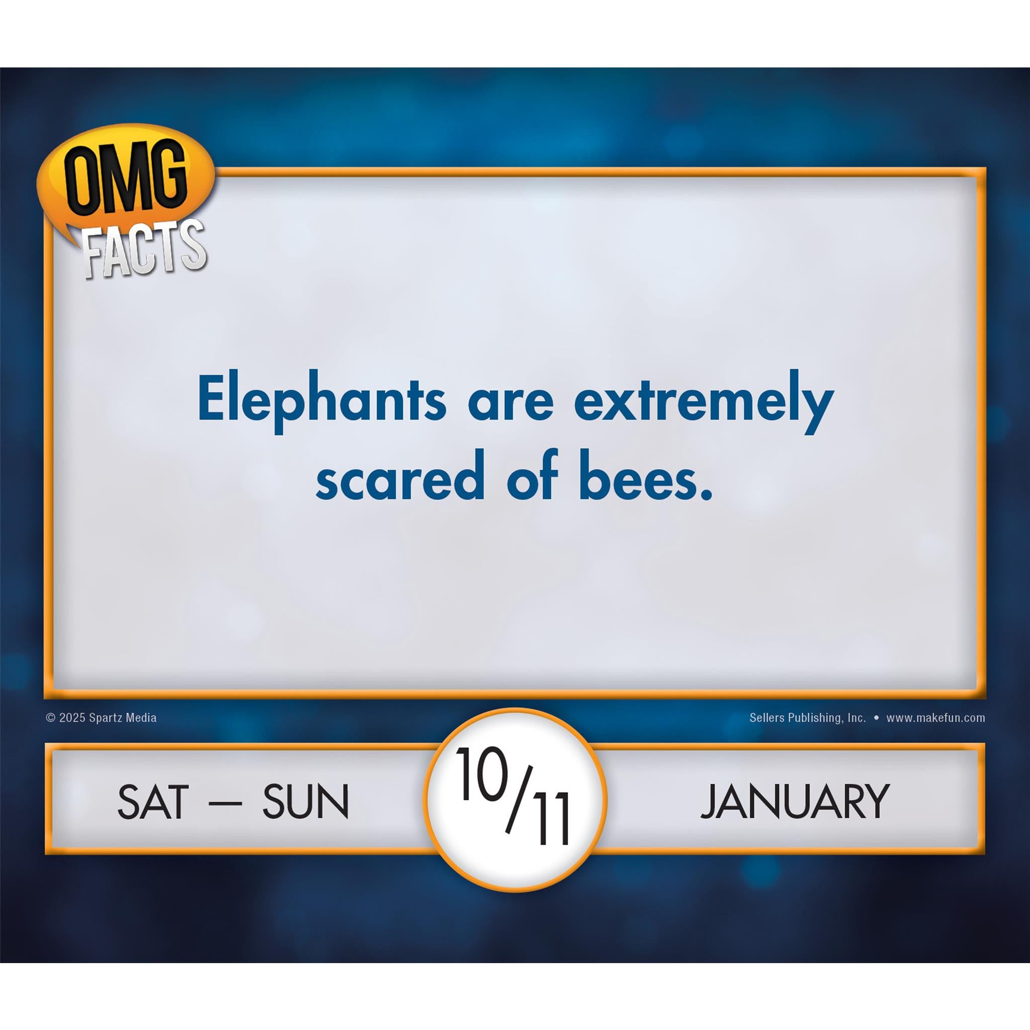OMG Facts 2026 Box Calendar