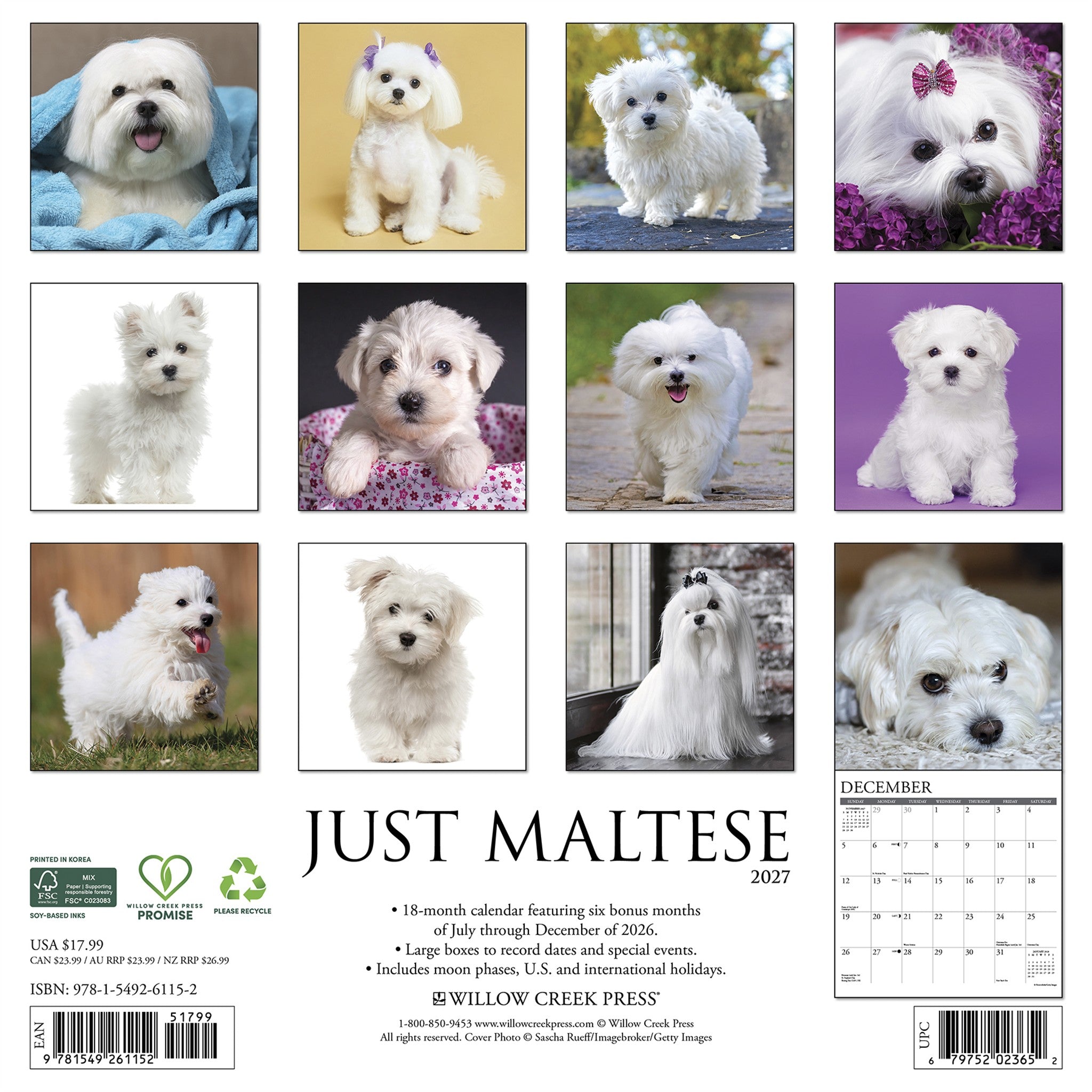 Maltese 2027 Wall Calendar - Online Only