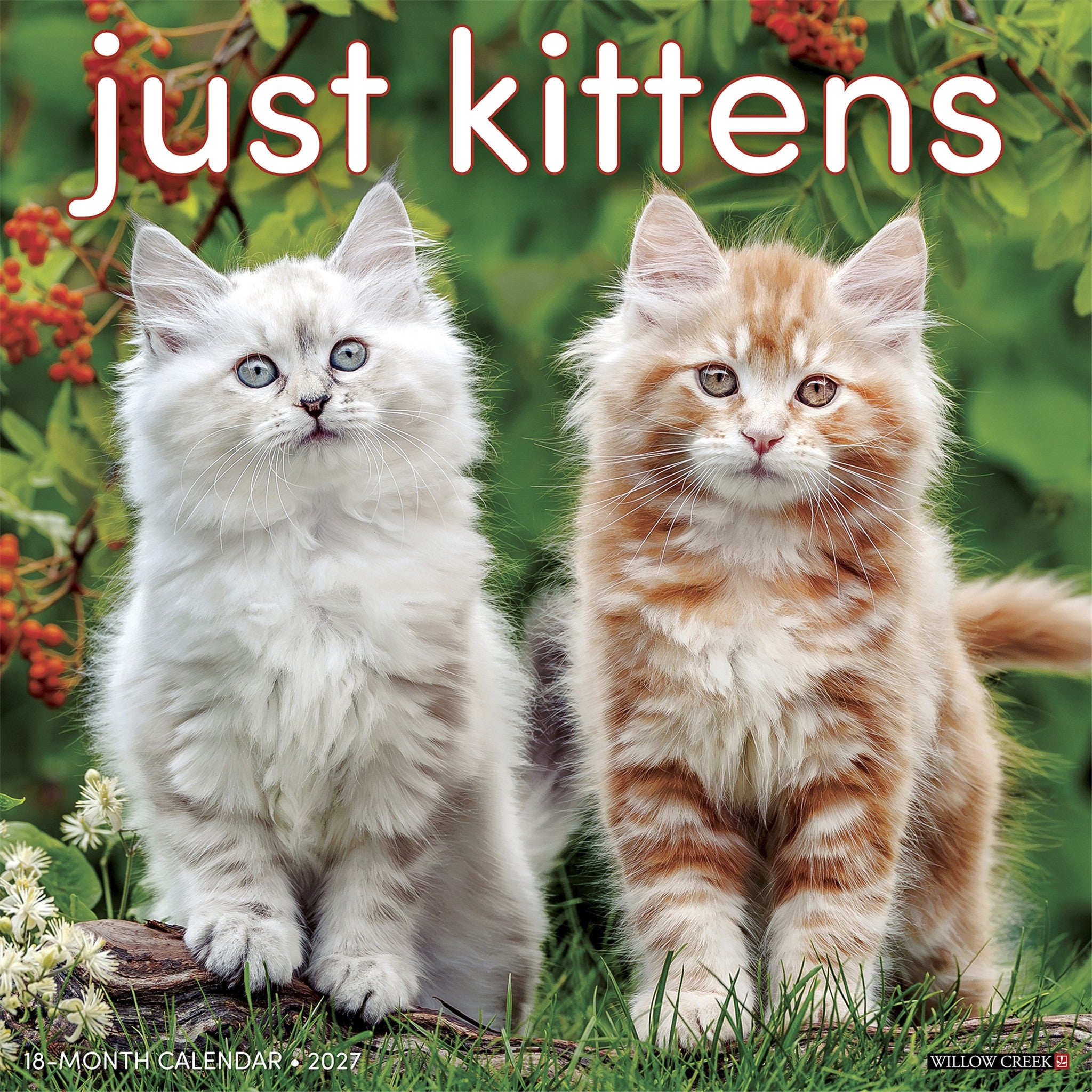 Kittens 2027 Wall Calendar