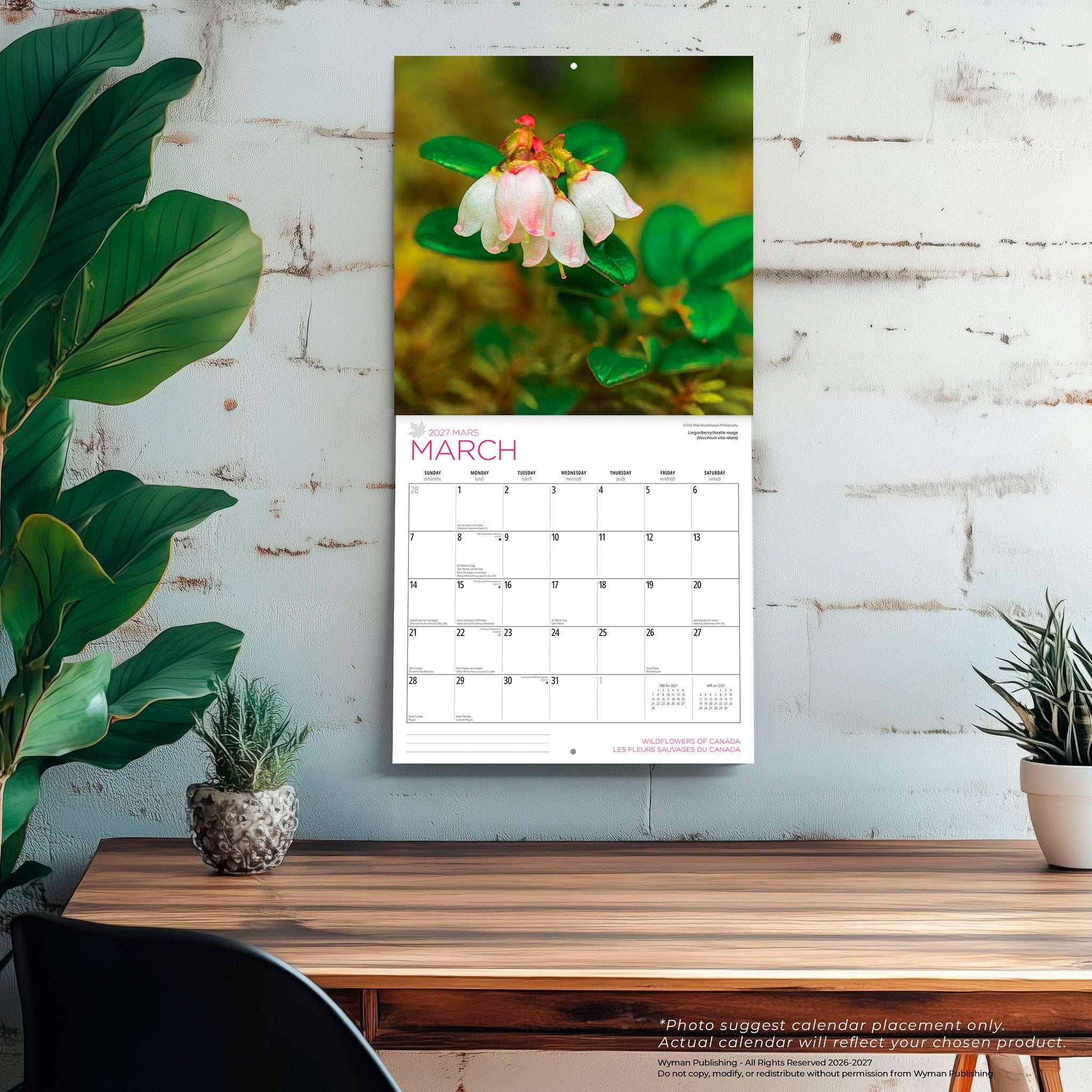 Wildflowers of Canada / Les fleurs sauvages du Canada 2027 Wall Calendar