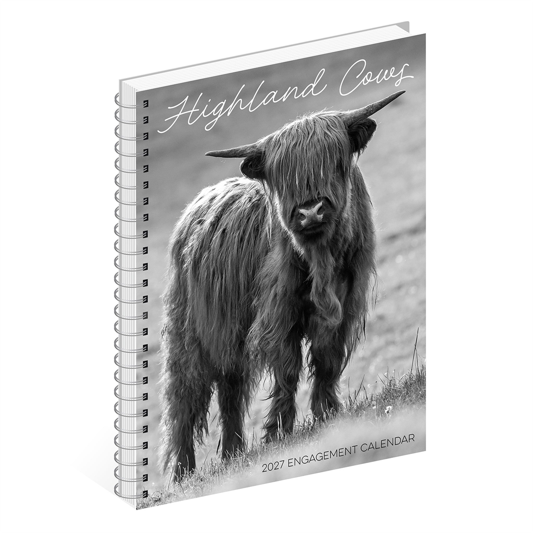 Highland Cows 2027 Engagement Calendar