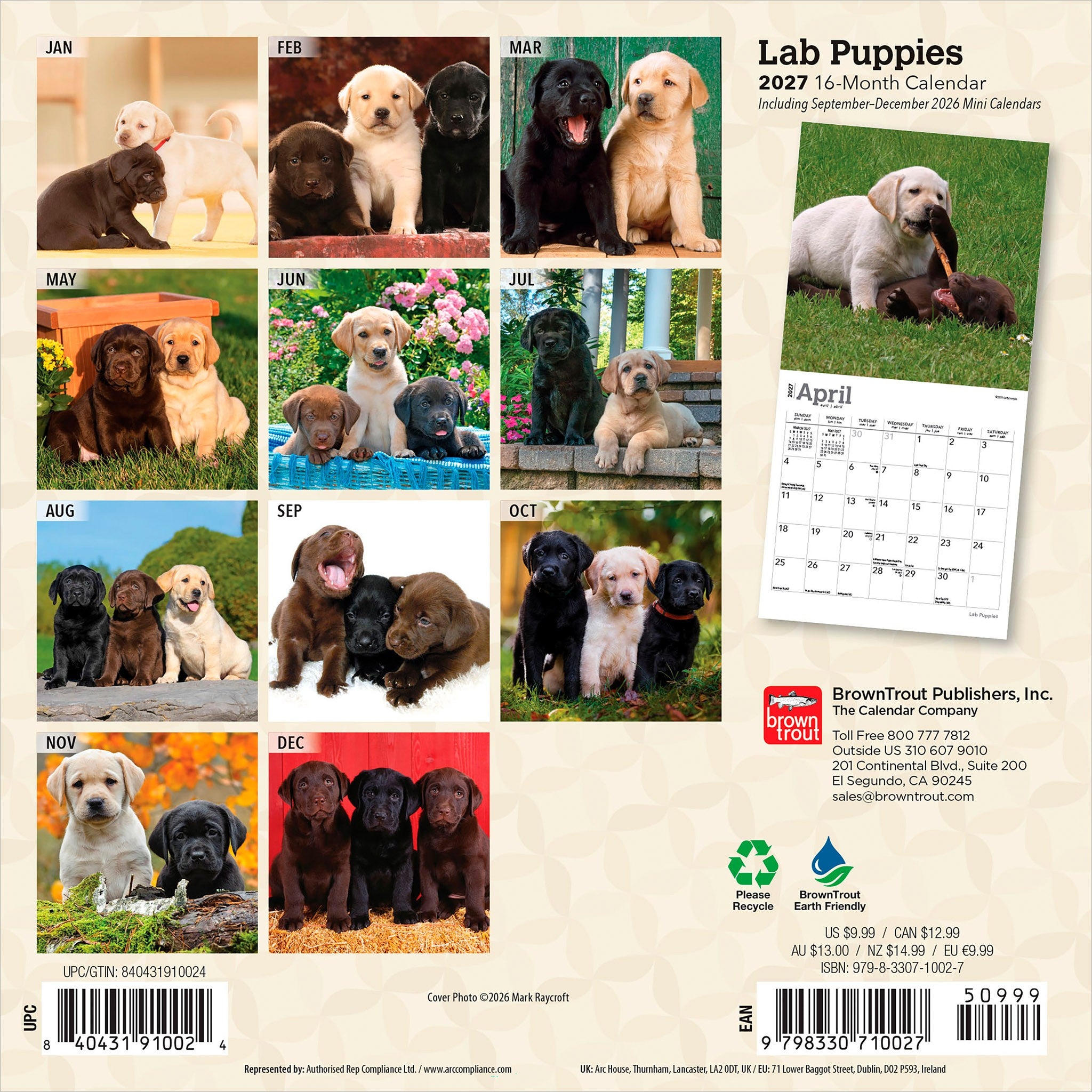 Lab Puppies 2027 Mini Calendar