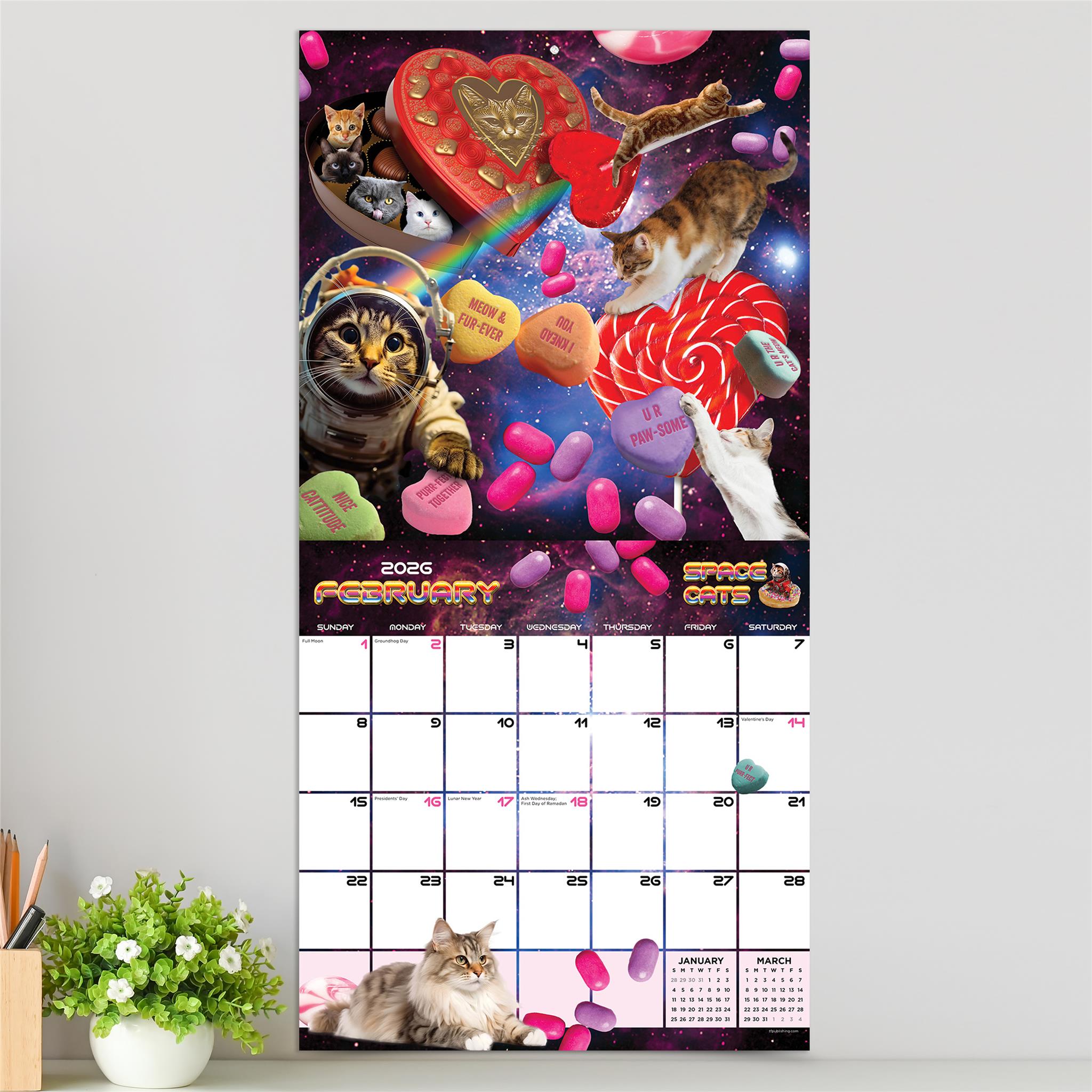 Space Cats 2026 Wall Calendar - Online Only