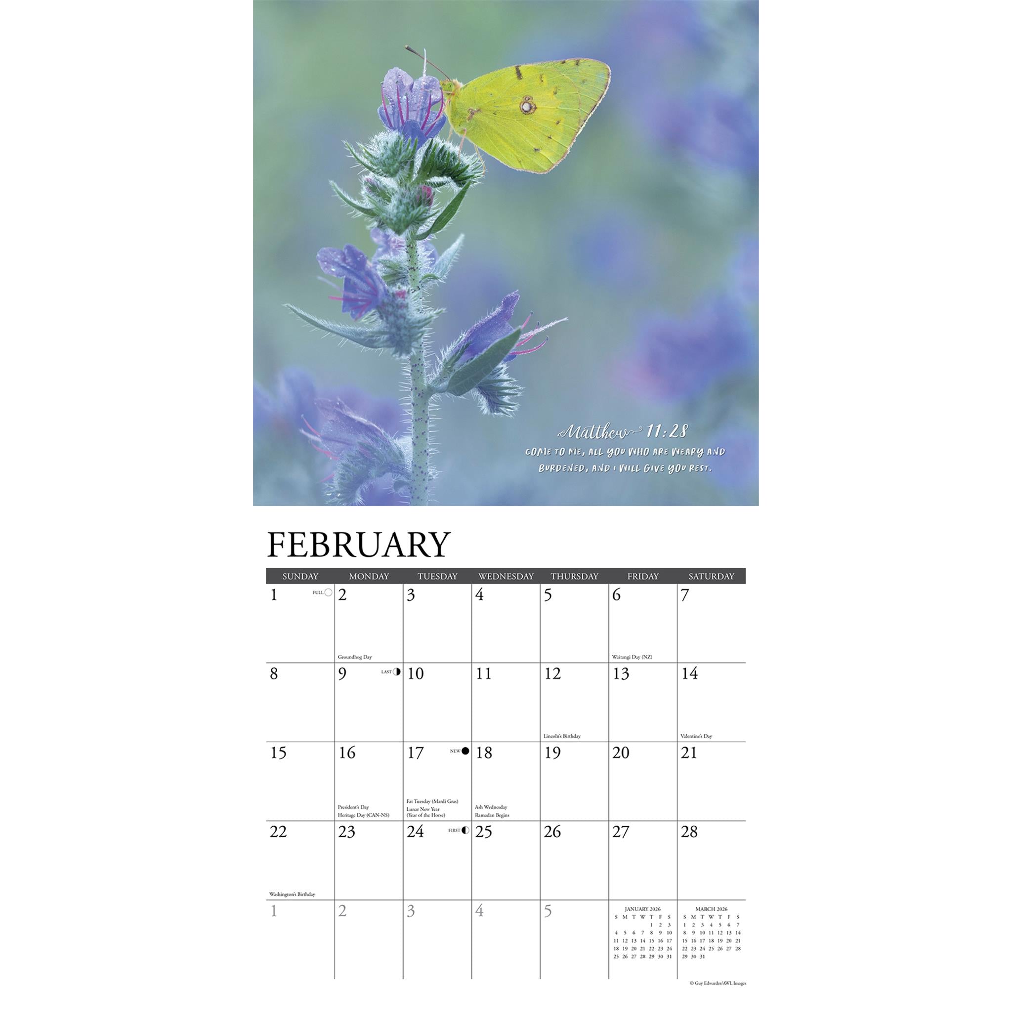 Gods Palette 2026 Wall Calendar - Online Only