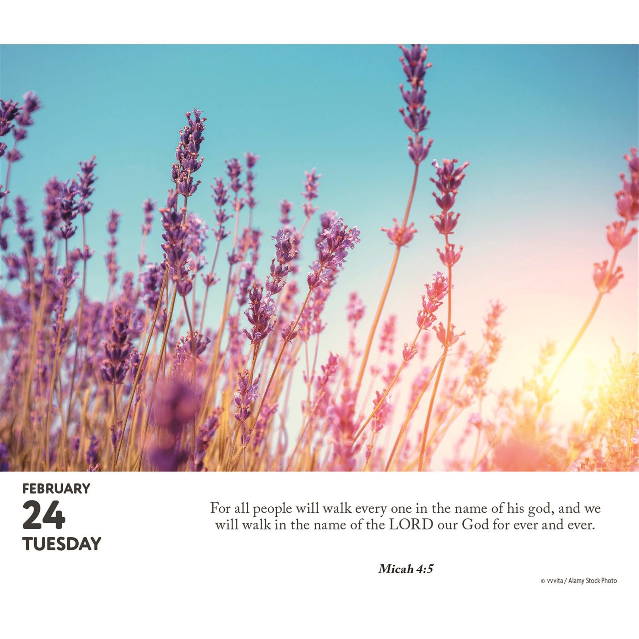 Bible Verses 2026 Box Calendar
