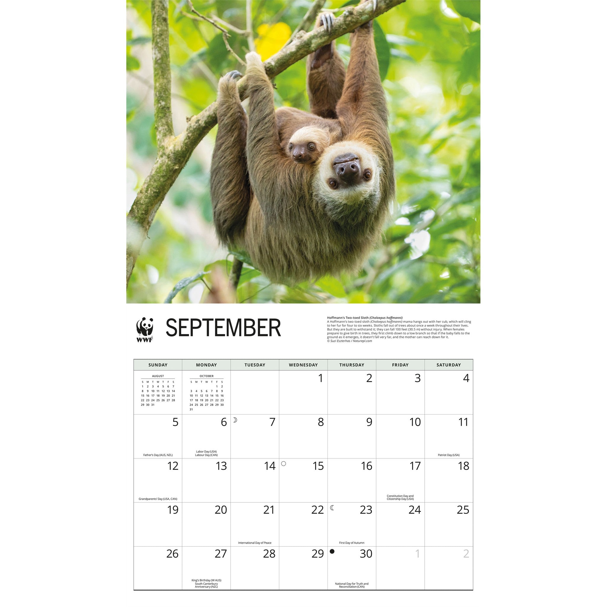 World Wildlife Fund Sloths 2027 Wall Calendar