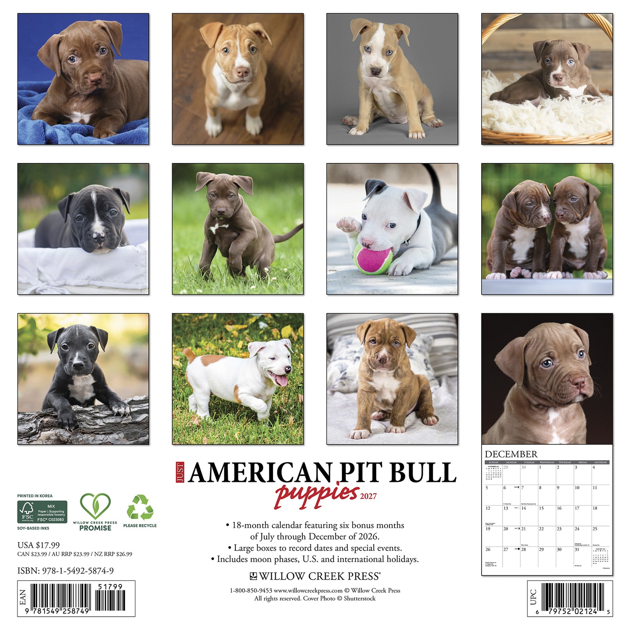 American Pit Bull Terrier Puppies 2027 Wall Calendar - Online Only