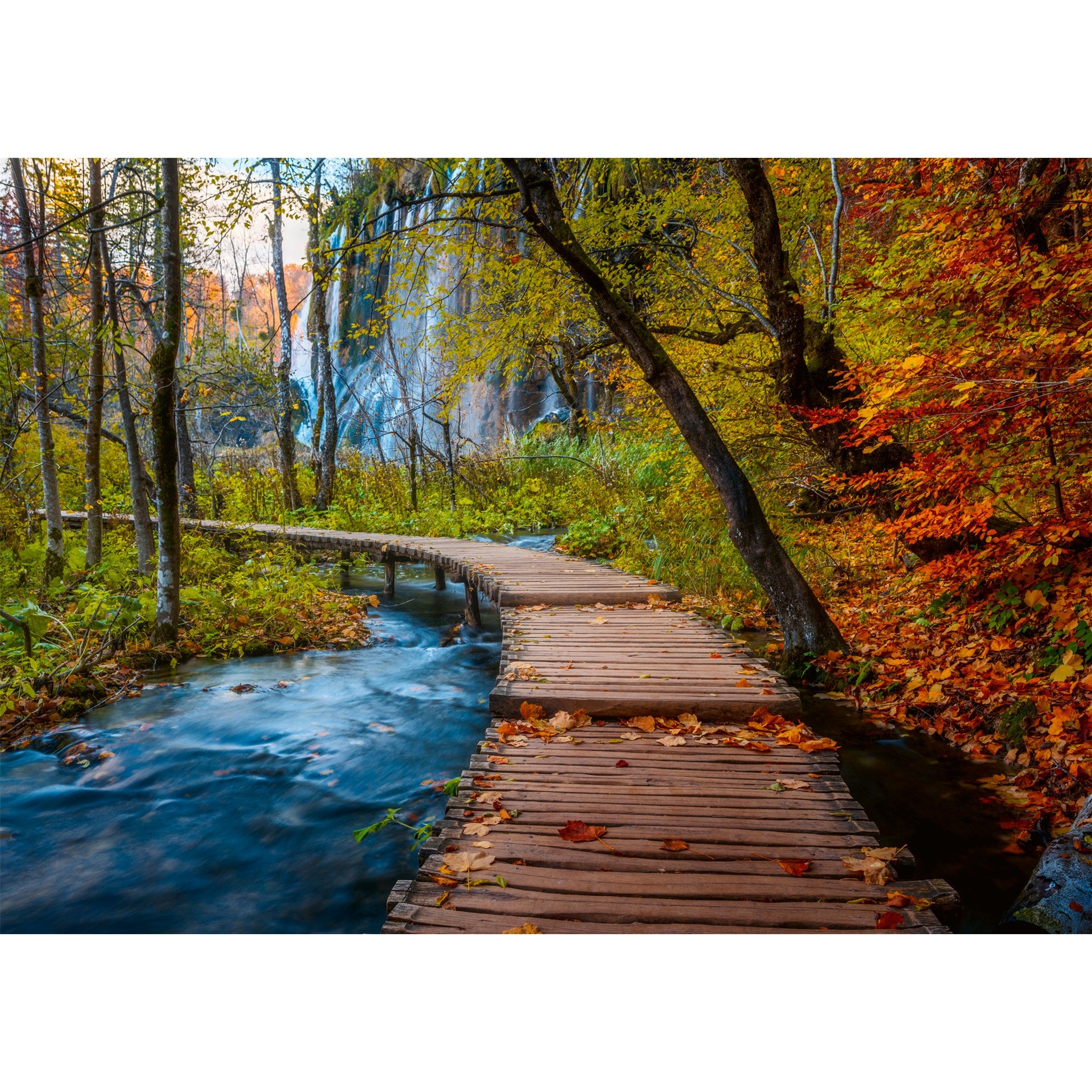 Autumnal Forest Path 1000 Piece Puzzle