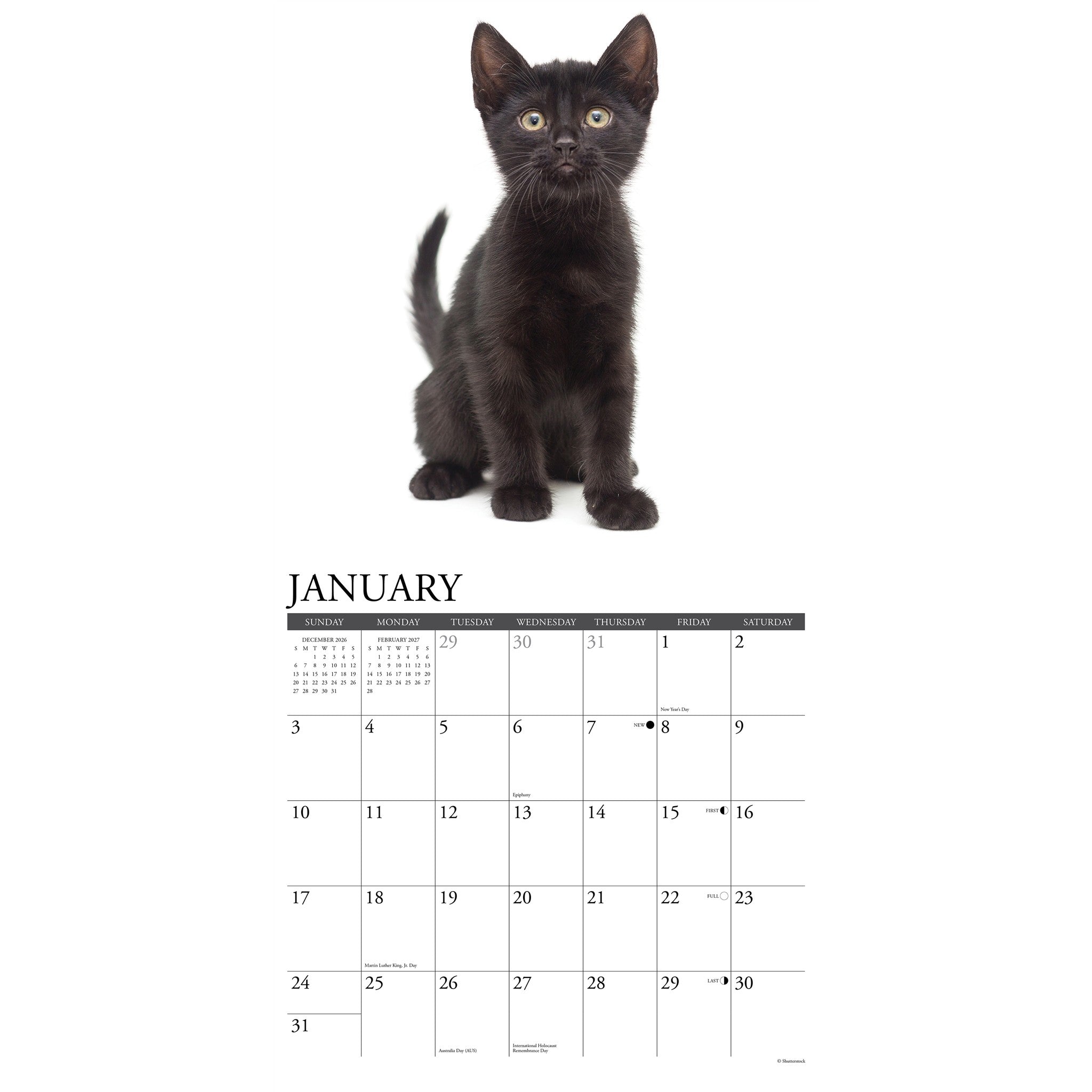 Black Kittens 2027 Wall Calendar - Online Only