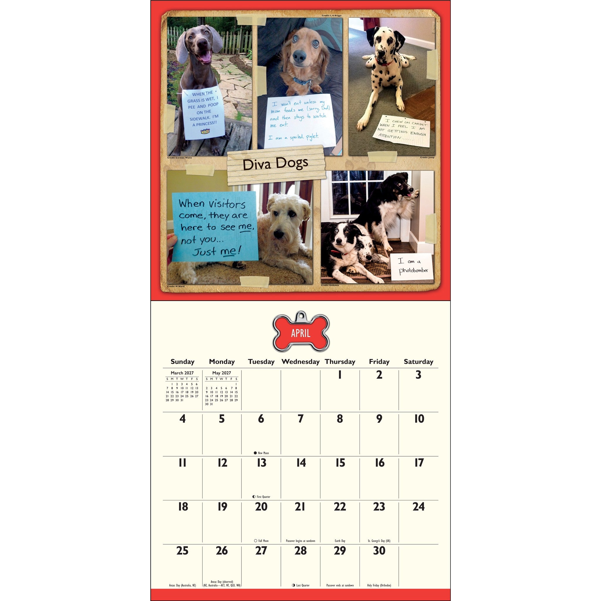 Dog Shaming 2027 Wall Calendar