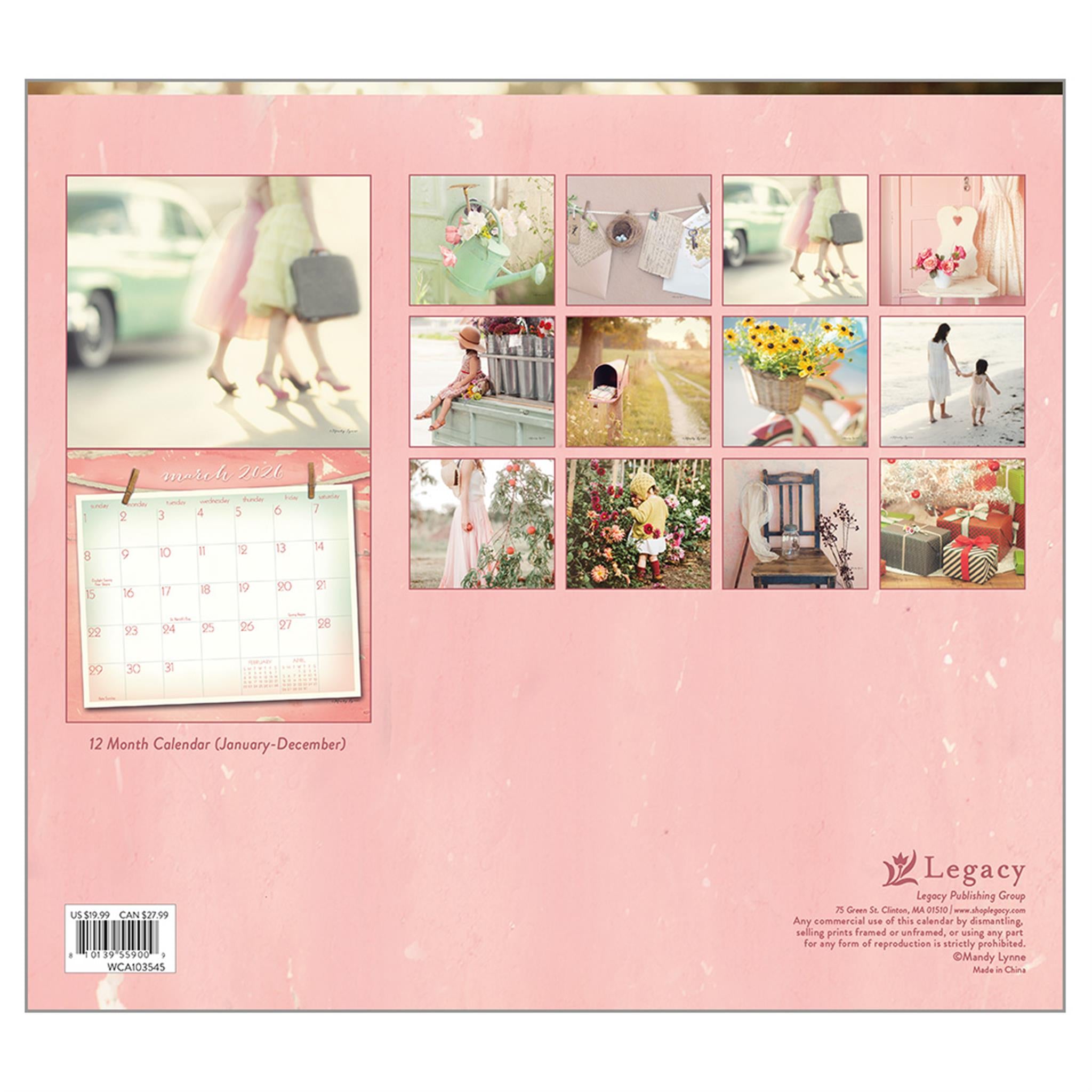 Vintage Pink 2026 Deluxe Wall Calendar
