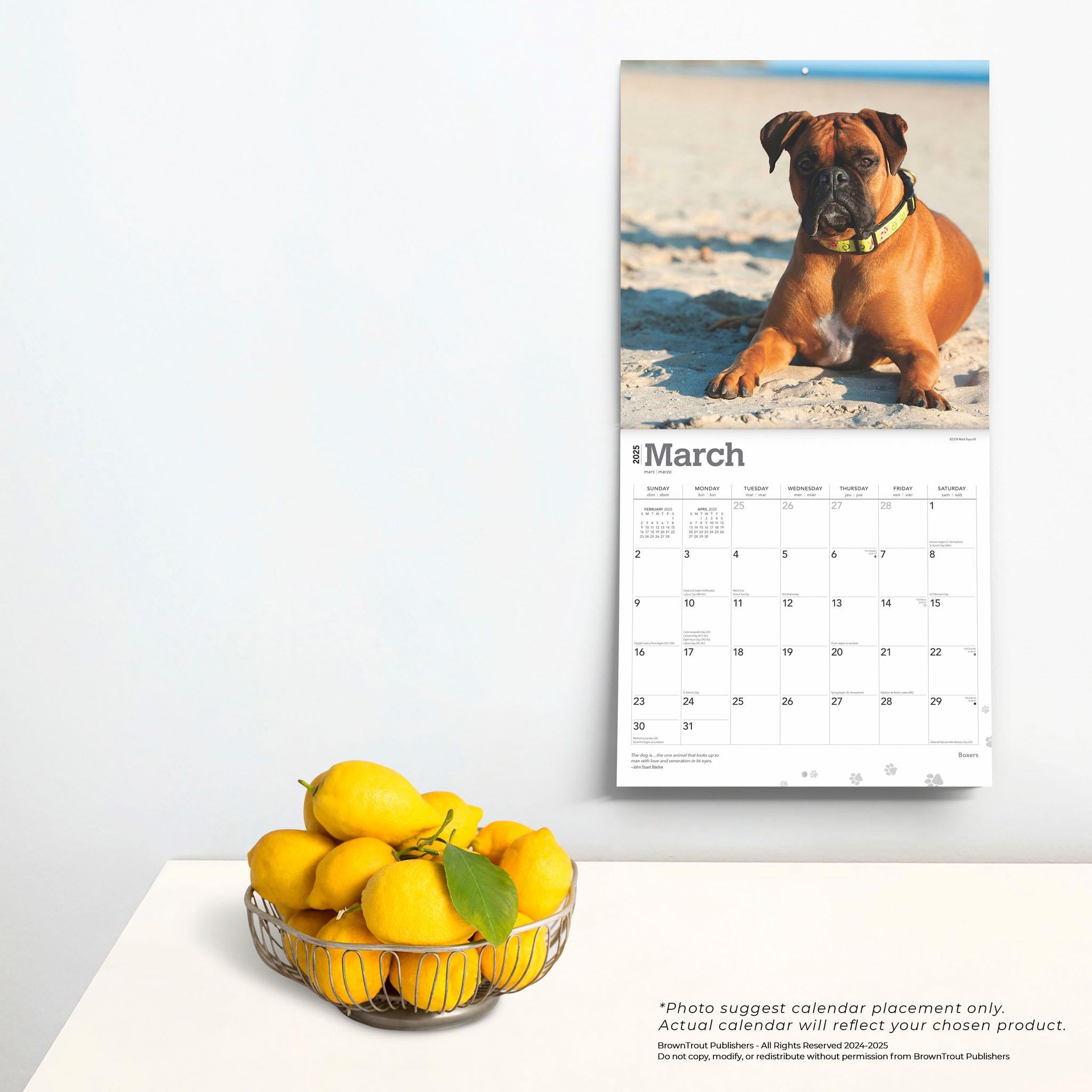 Boxers International Wall 2025 Calendar