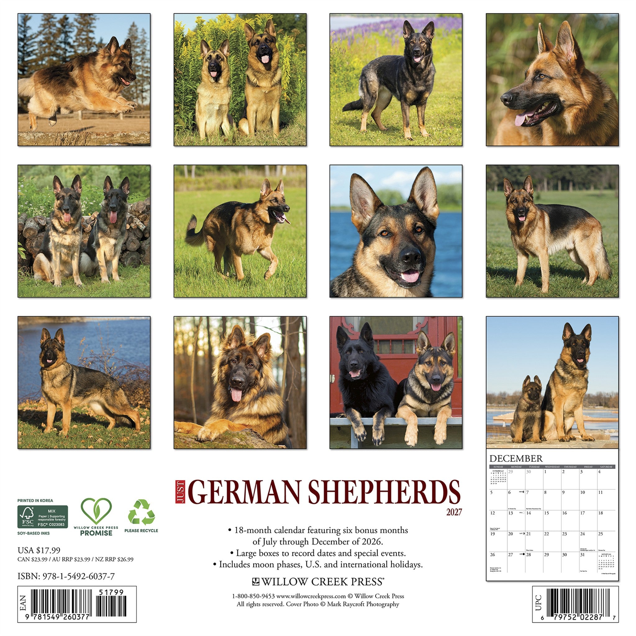 German Shepherds 2027 Wall Calendar