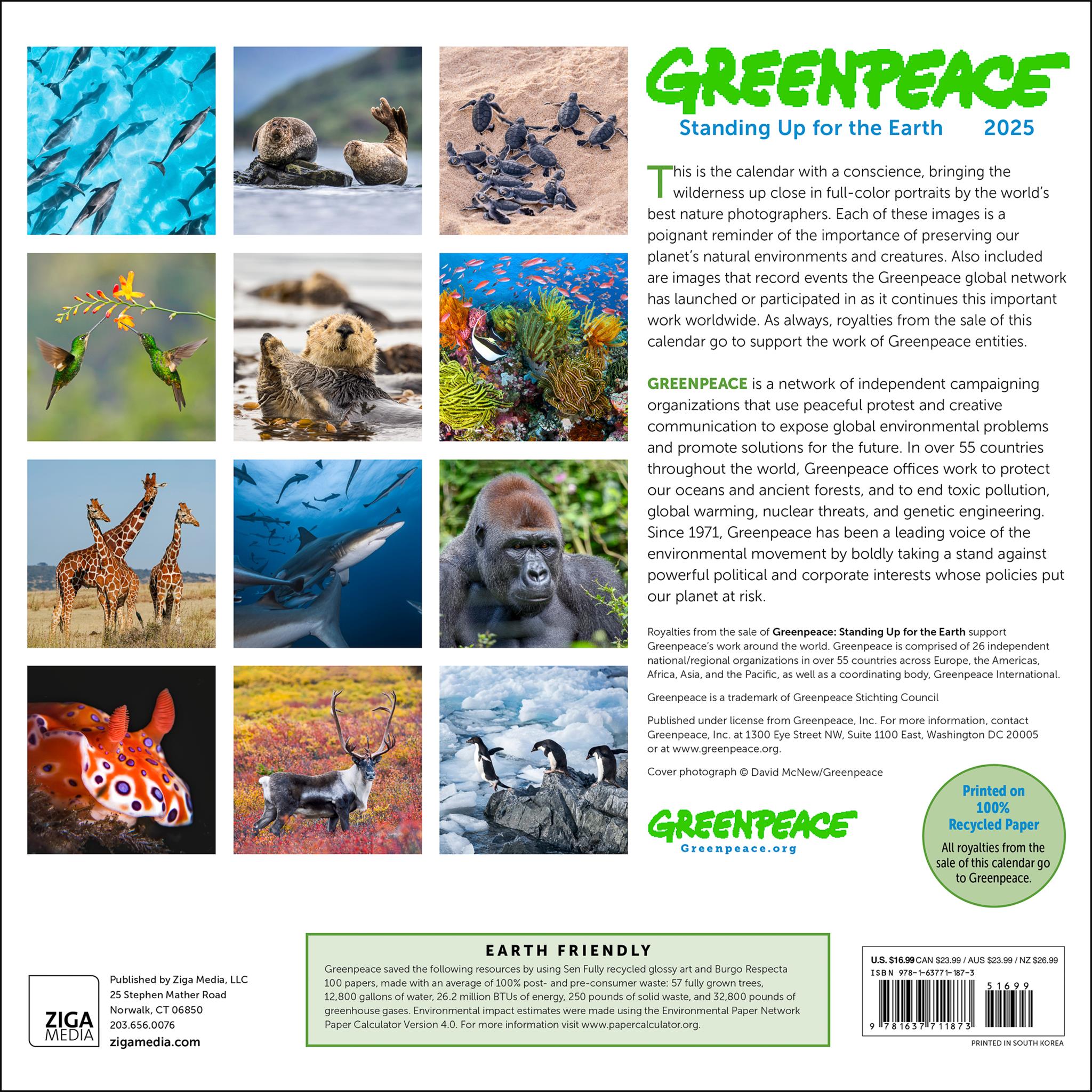 Greenpeace Wall 2025 Calendar
