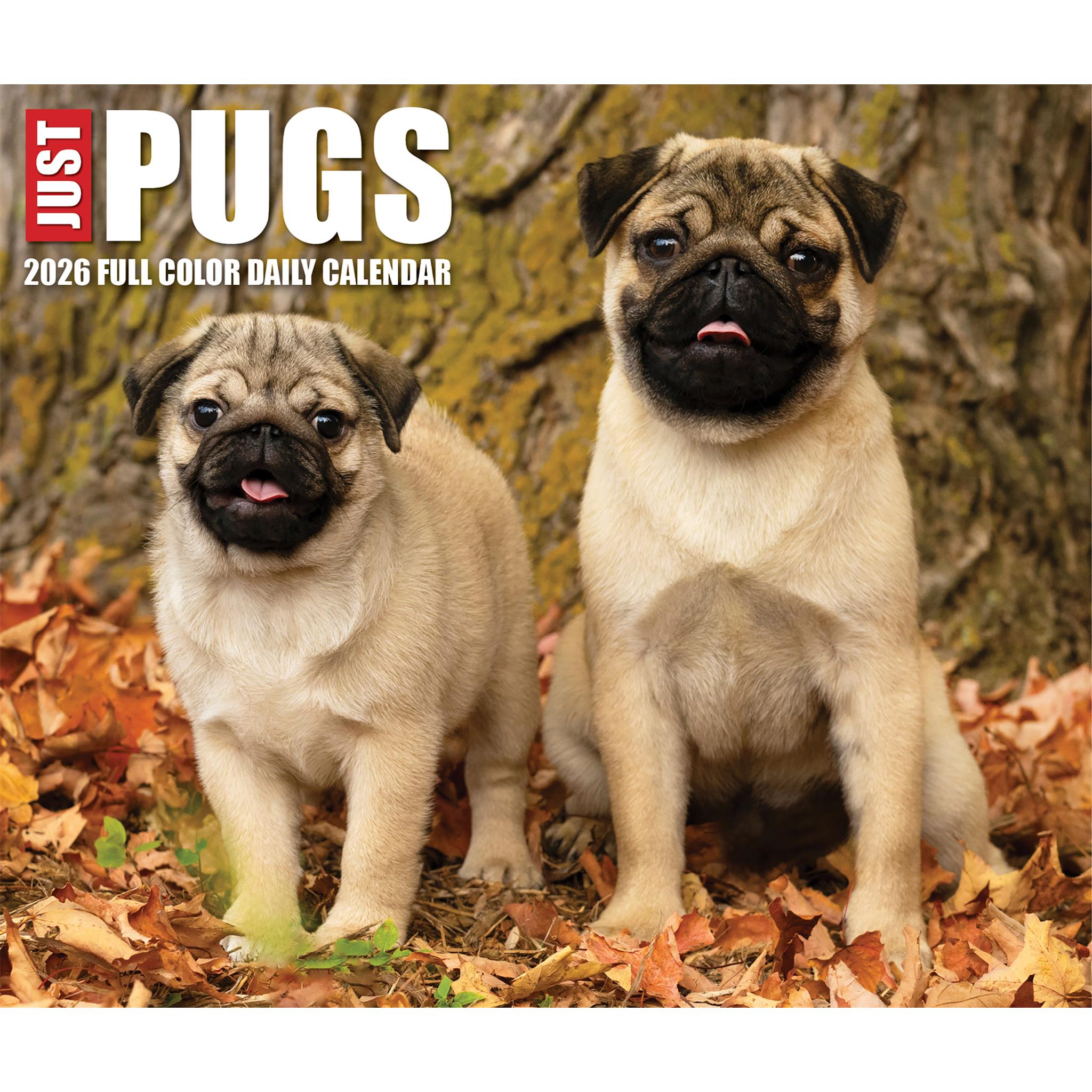 Just Pugs 2026 Box Calendar - Online Only