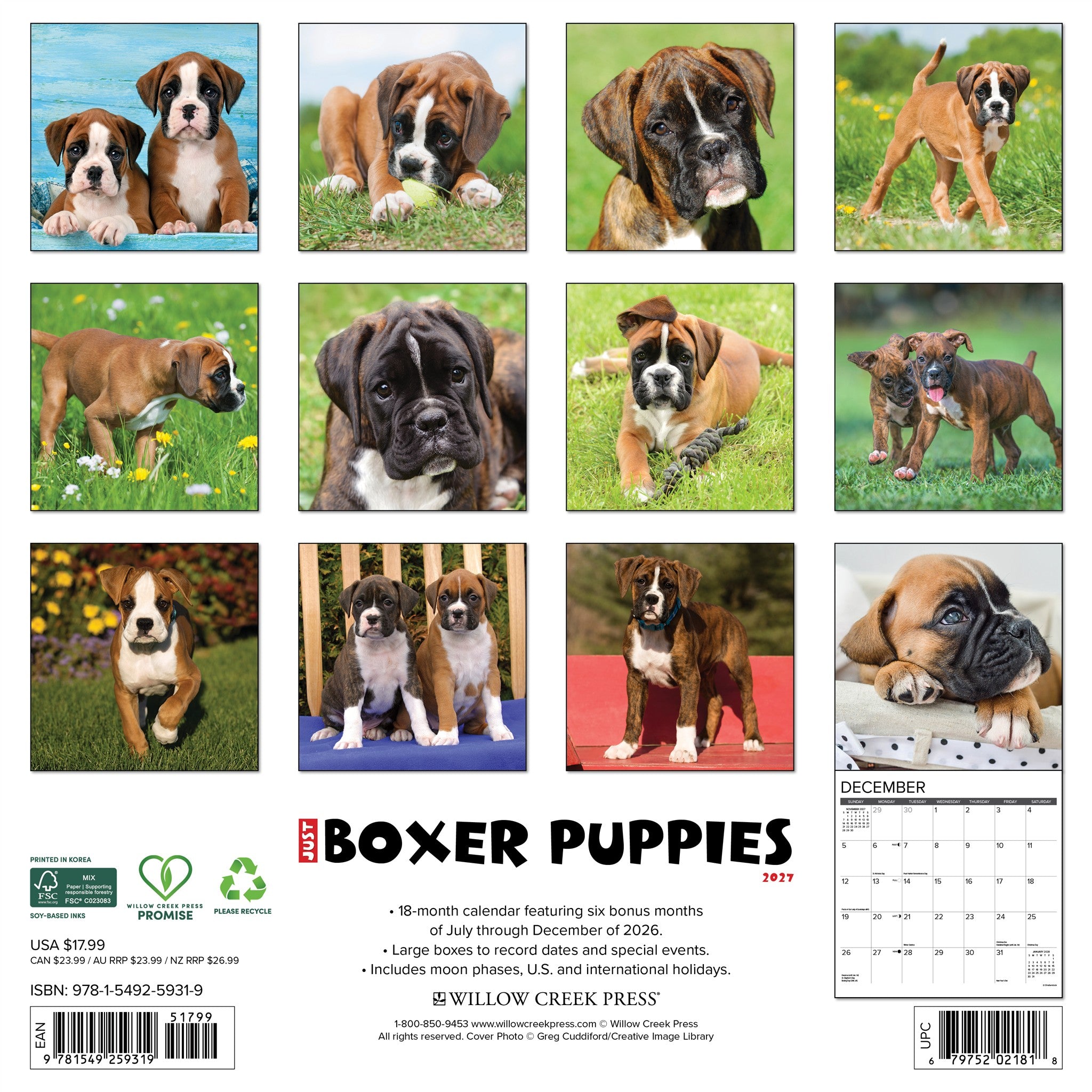 Boxer Puppies 2027 Wall Calendar
