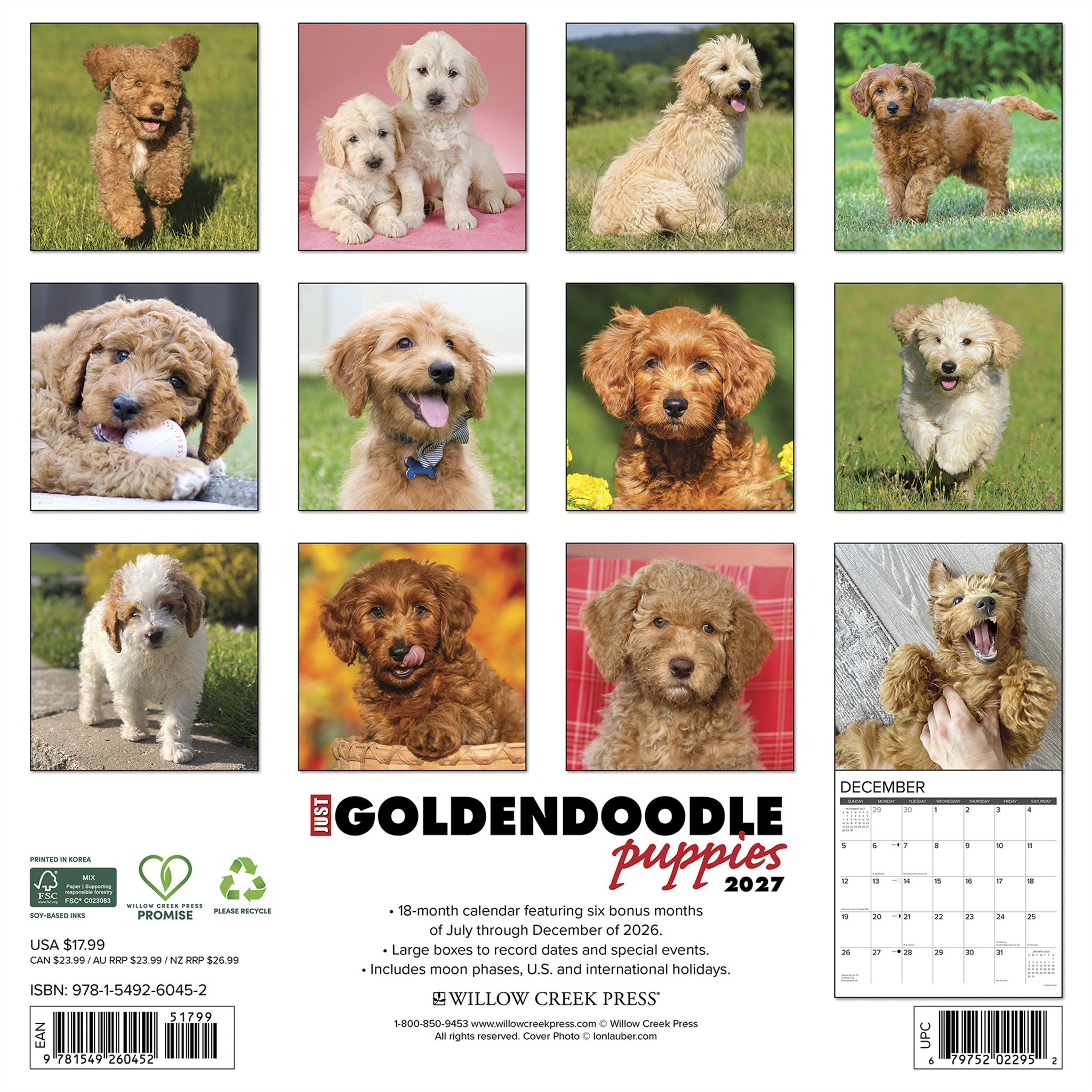 Goldendoodle Puppies 2027 Wall Calendar