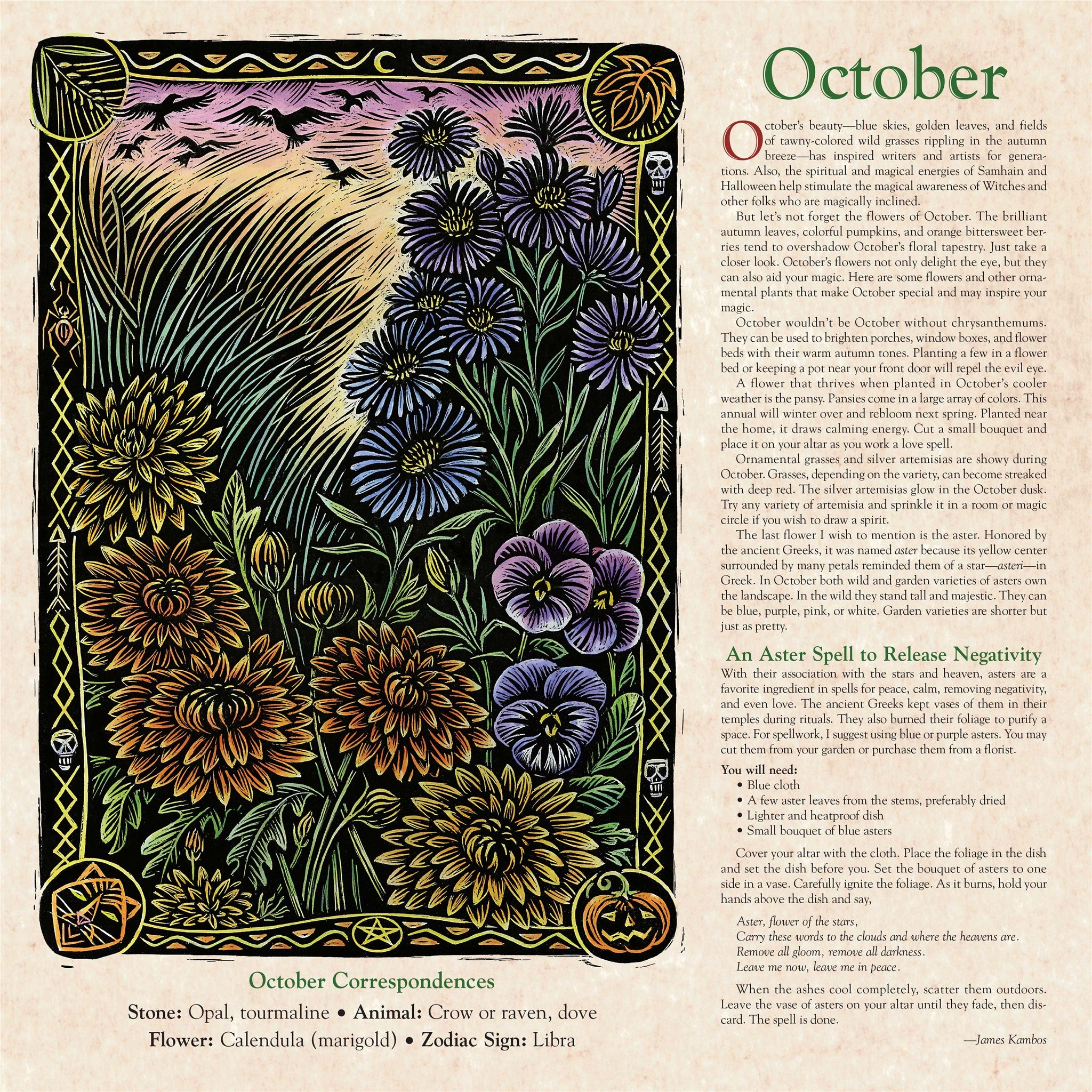 Witches' 2027 Wall Calendar