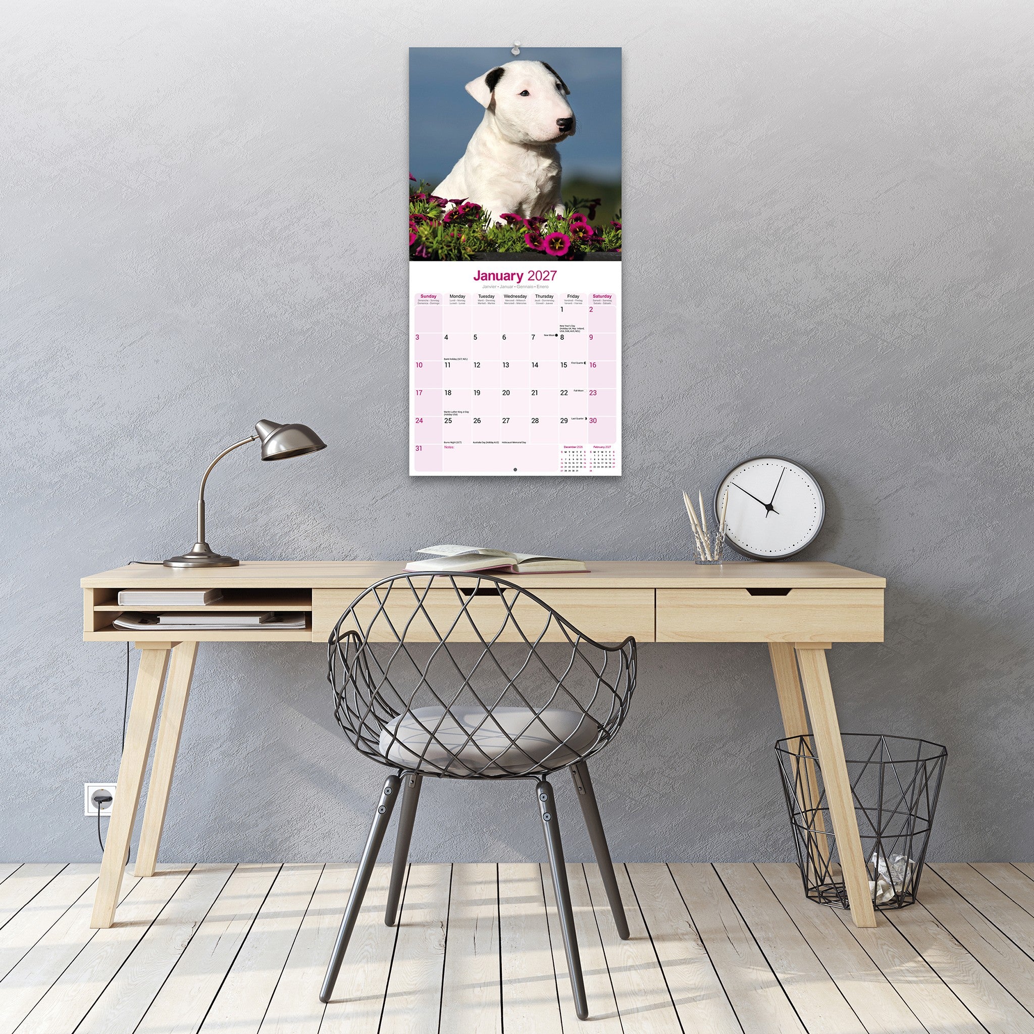Bull Terriers 2027 Wall Calendar