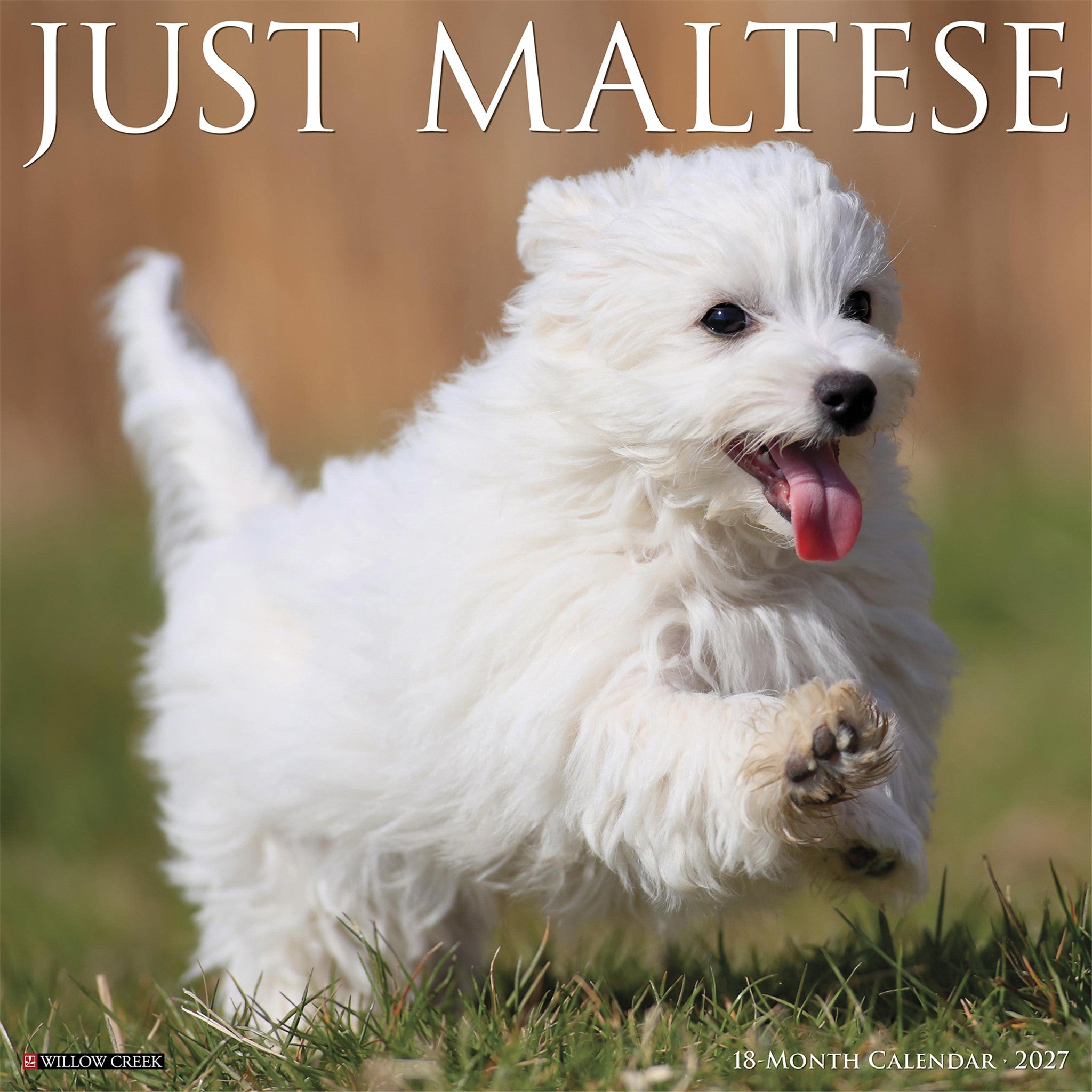 Maltese 2027 Wall Calendar - Online Only