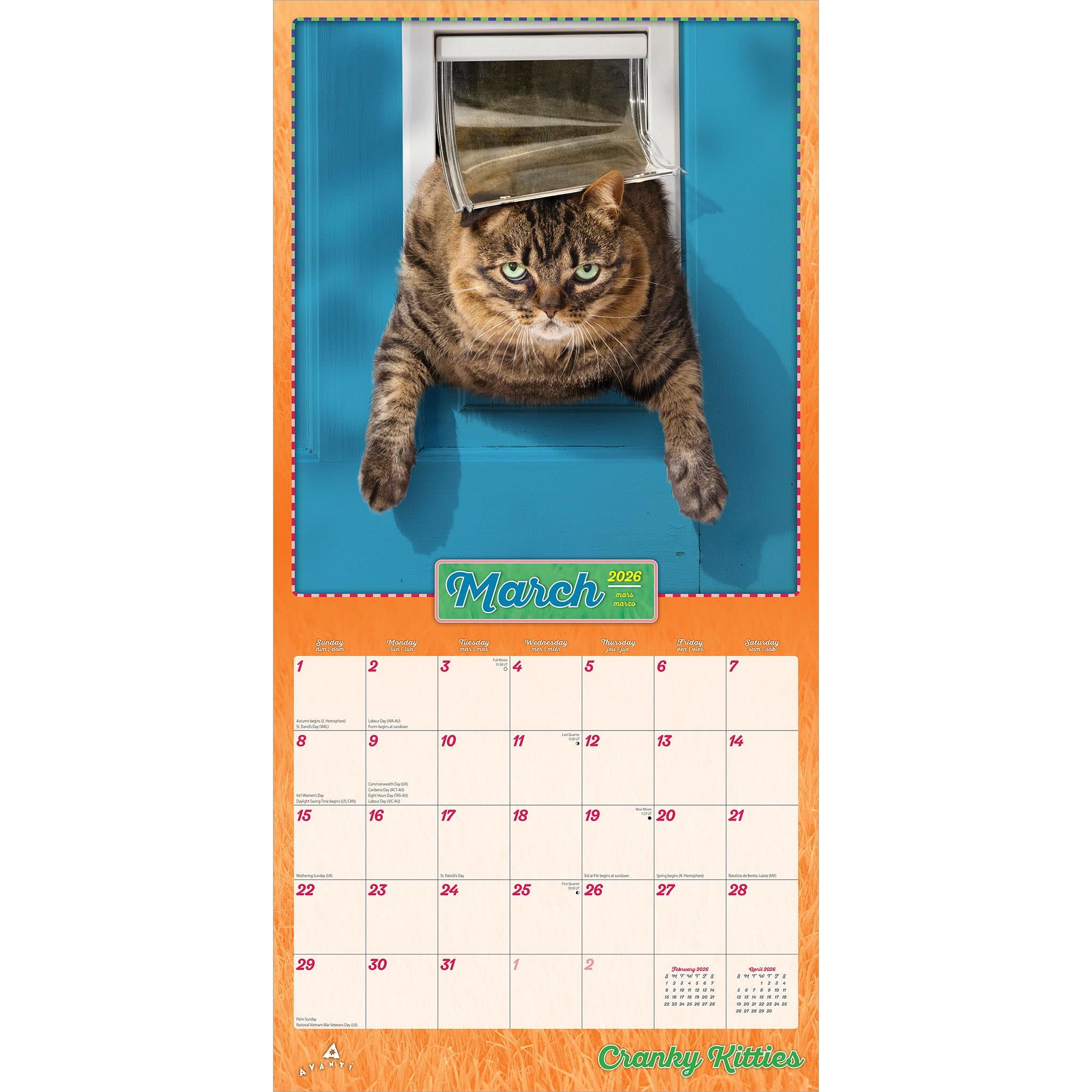 Avanti Cranky Kitties 2026 Wall Calendar - Online Exclusive