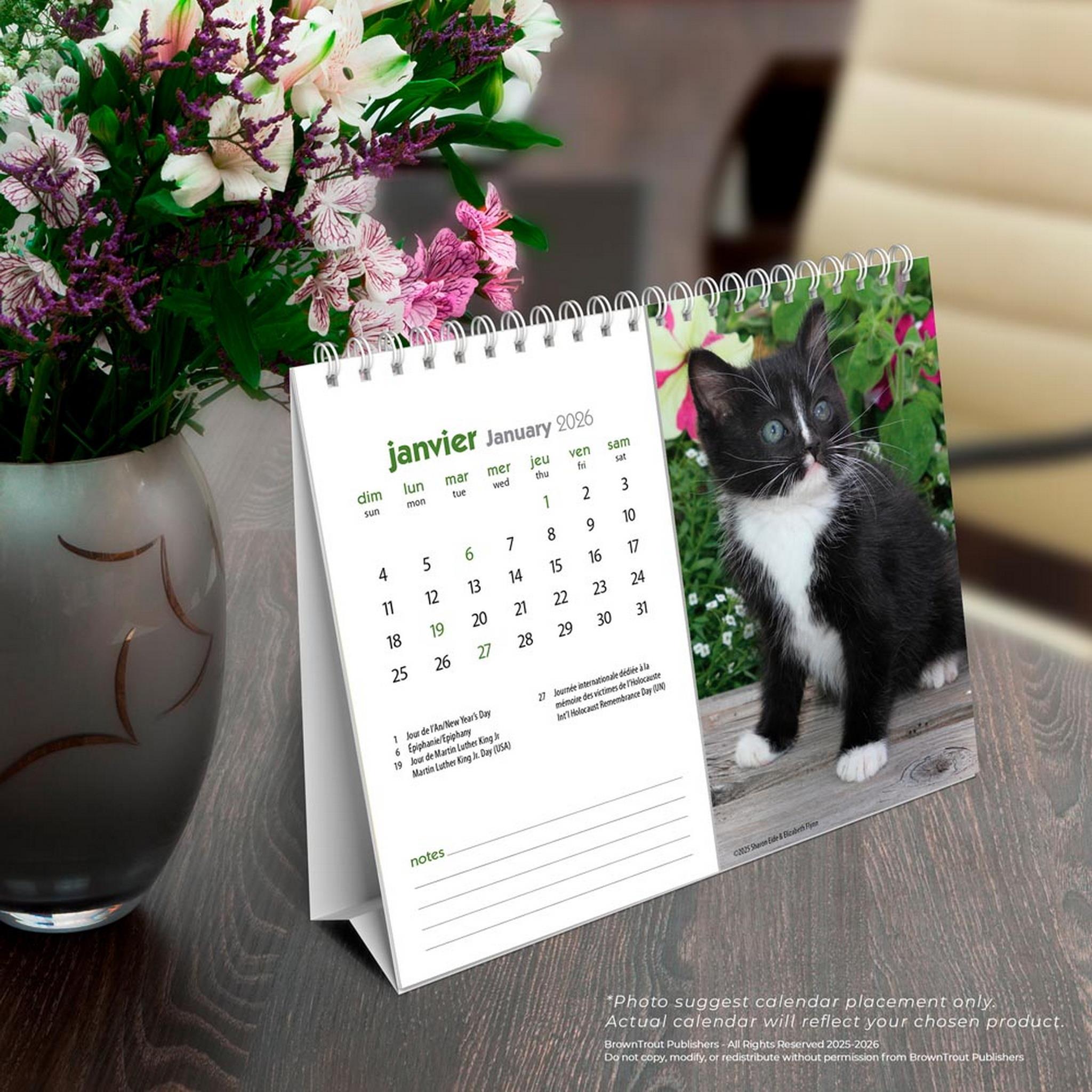 Chatons 2026 Double View Easel Calendar (French)